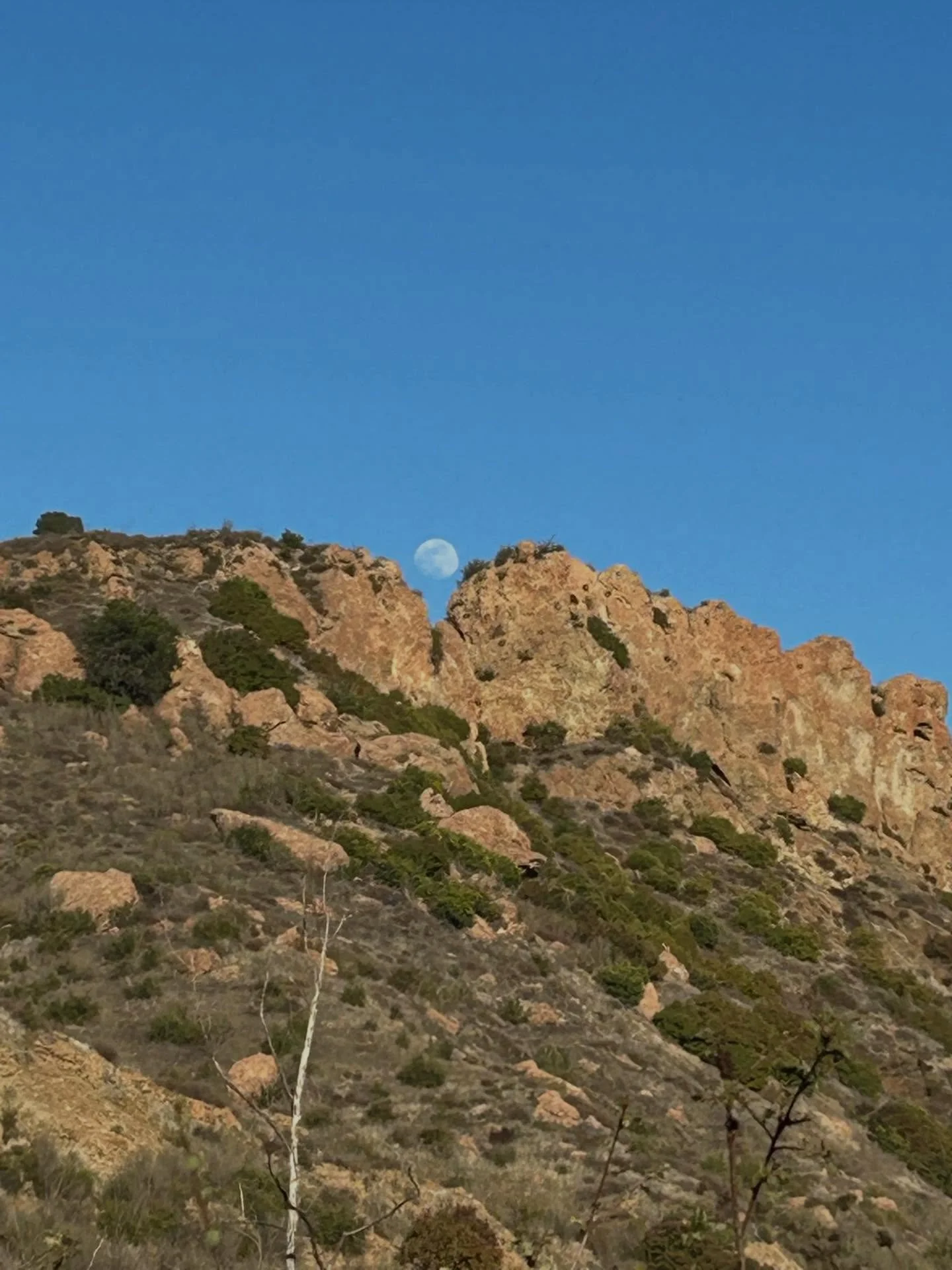 Your best skincare secret isn&rsquo;t in a jar&mdash;it&rsquo;s in your body&rsquo;s calm. 🌿
We talk a lot about treating the surface, but healthy skin starts with a happy nervous system! When stress and cortisol spike, it can show up on your face a