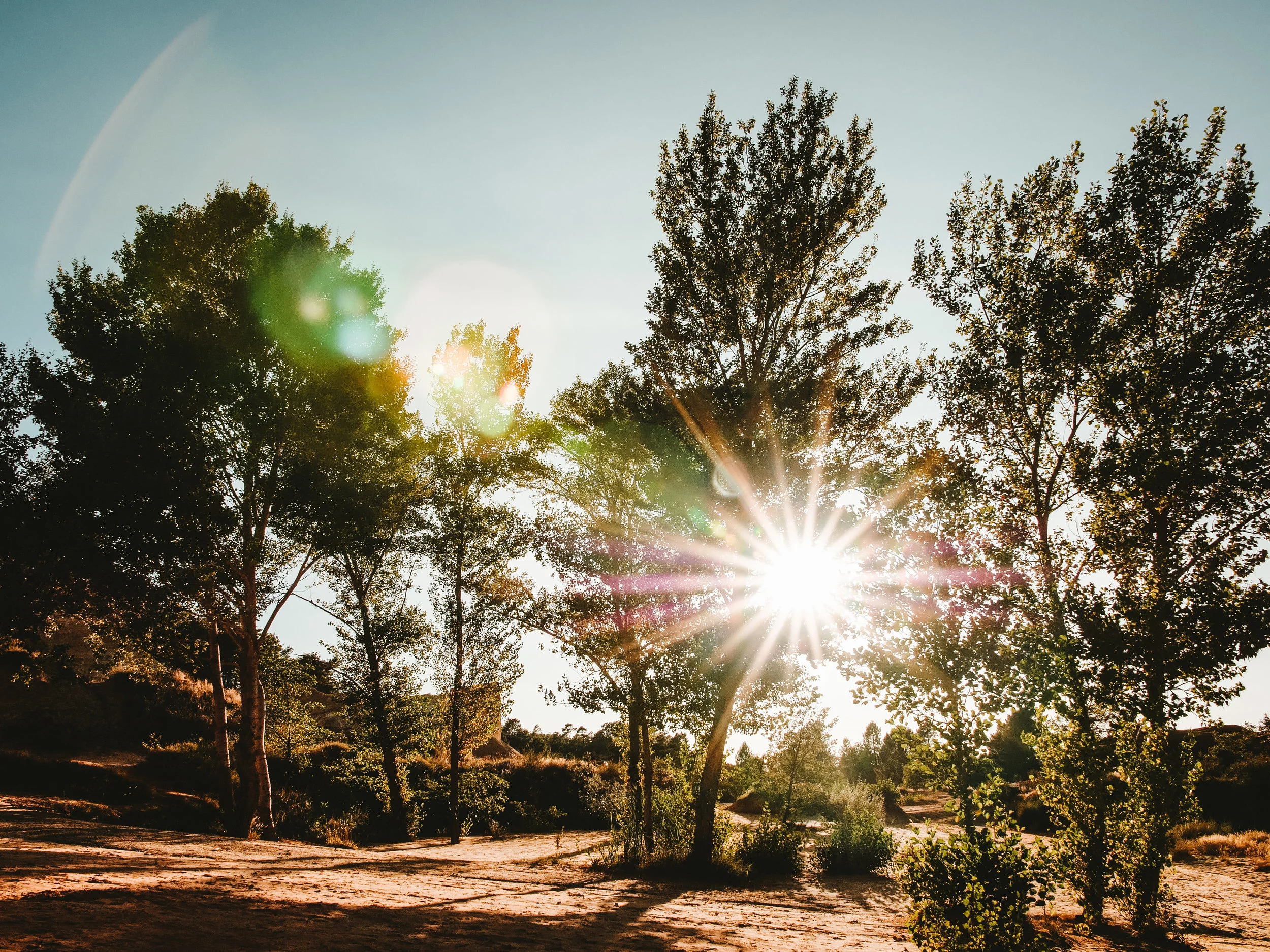 インターネットにあらゆるものを乗せていく −テレワークとセキュリティ編