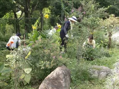 NPO法人 大田・花とみどりのまちづくり 様