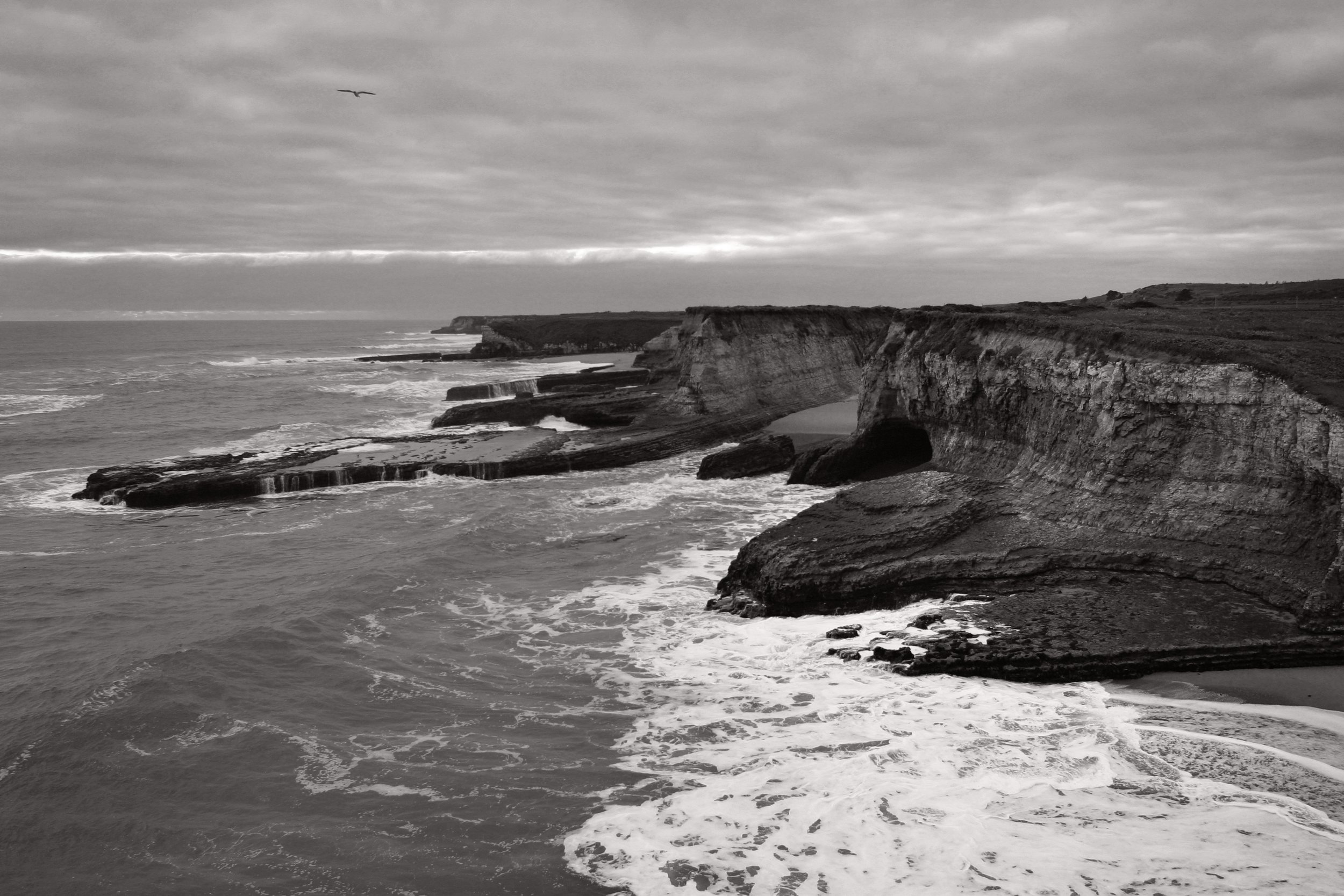 CRW_2451_RT8_BW-small.jpg