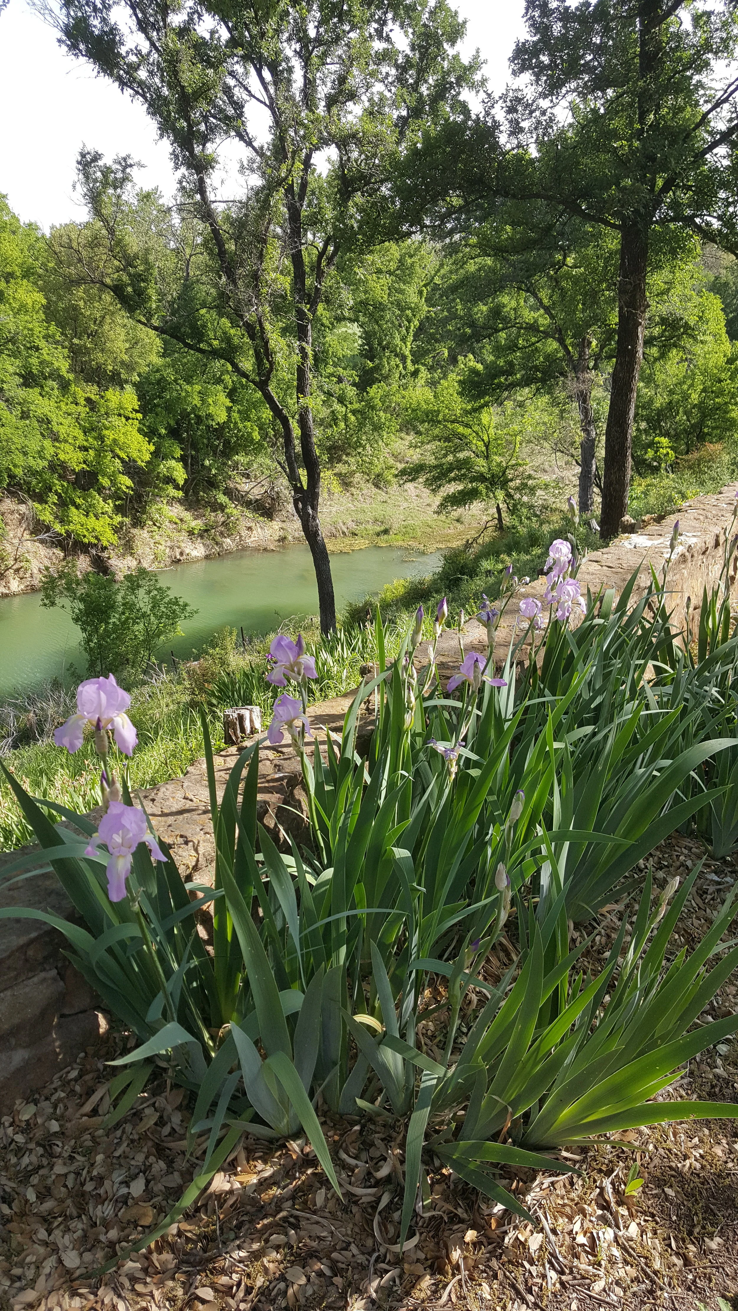 20180417_095209.jpg