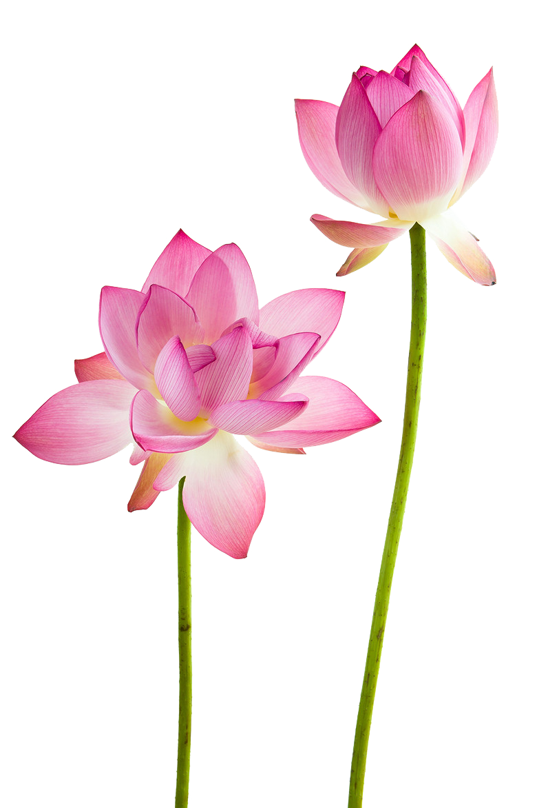 Codependency & Difficulty making Decisions