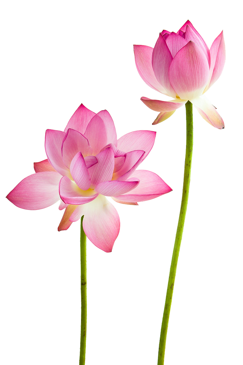 Today's Affirmation: My Soul is My Fire, I am Worthy.