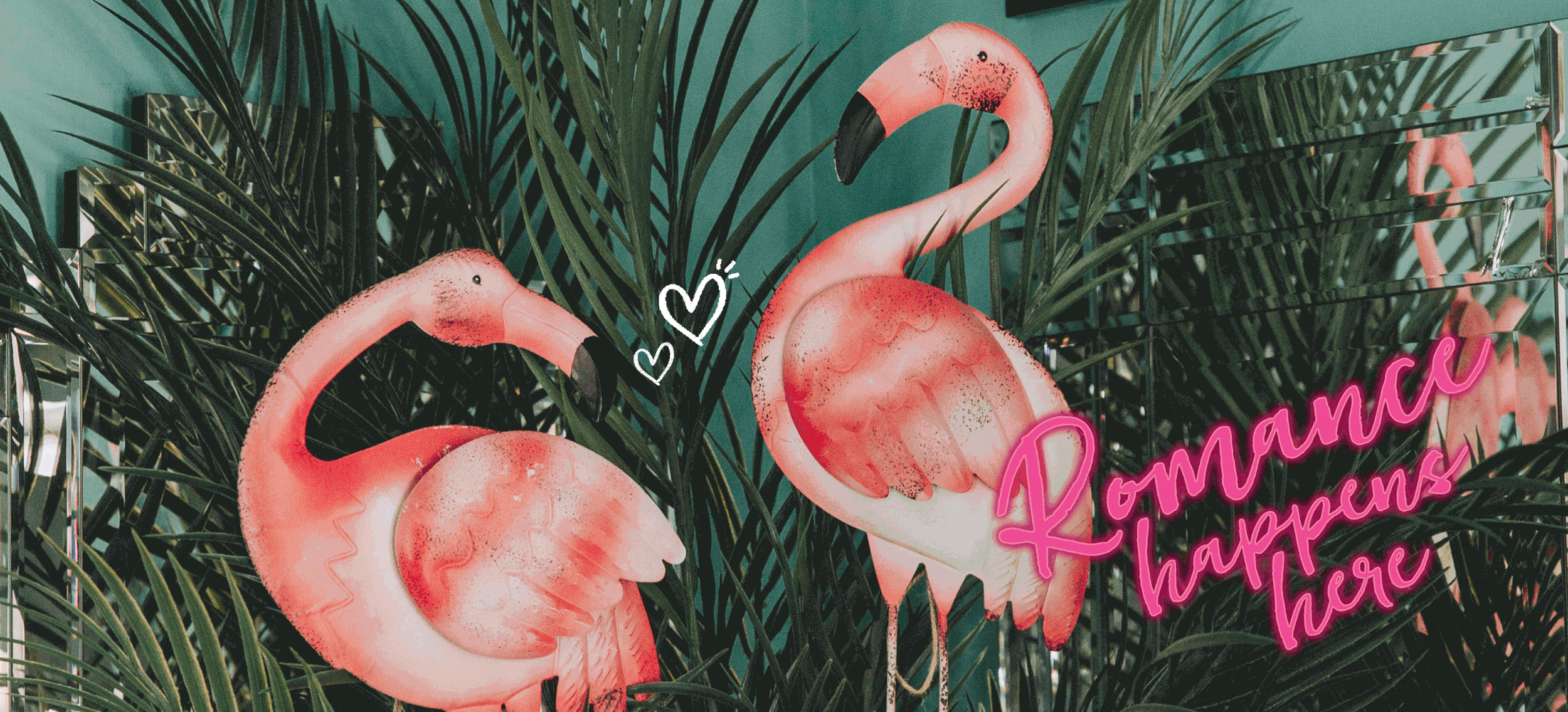 FLAMINGOROMANCE.gif