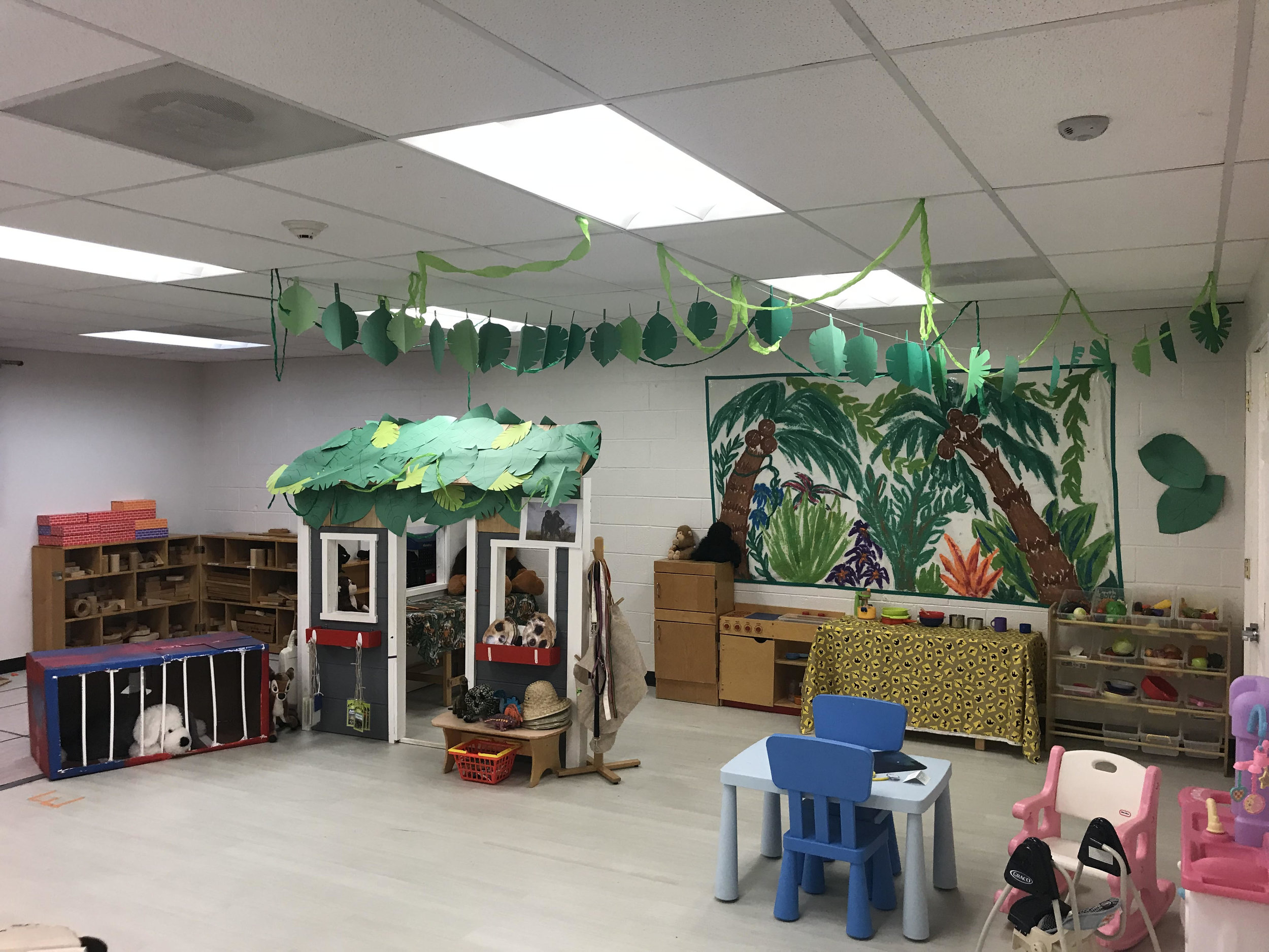jungle.jpg
