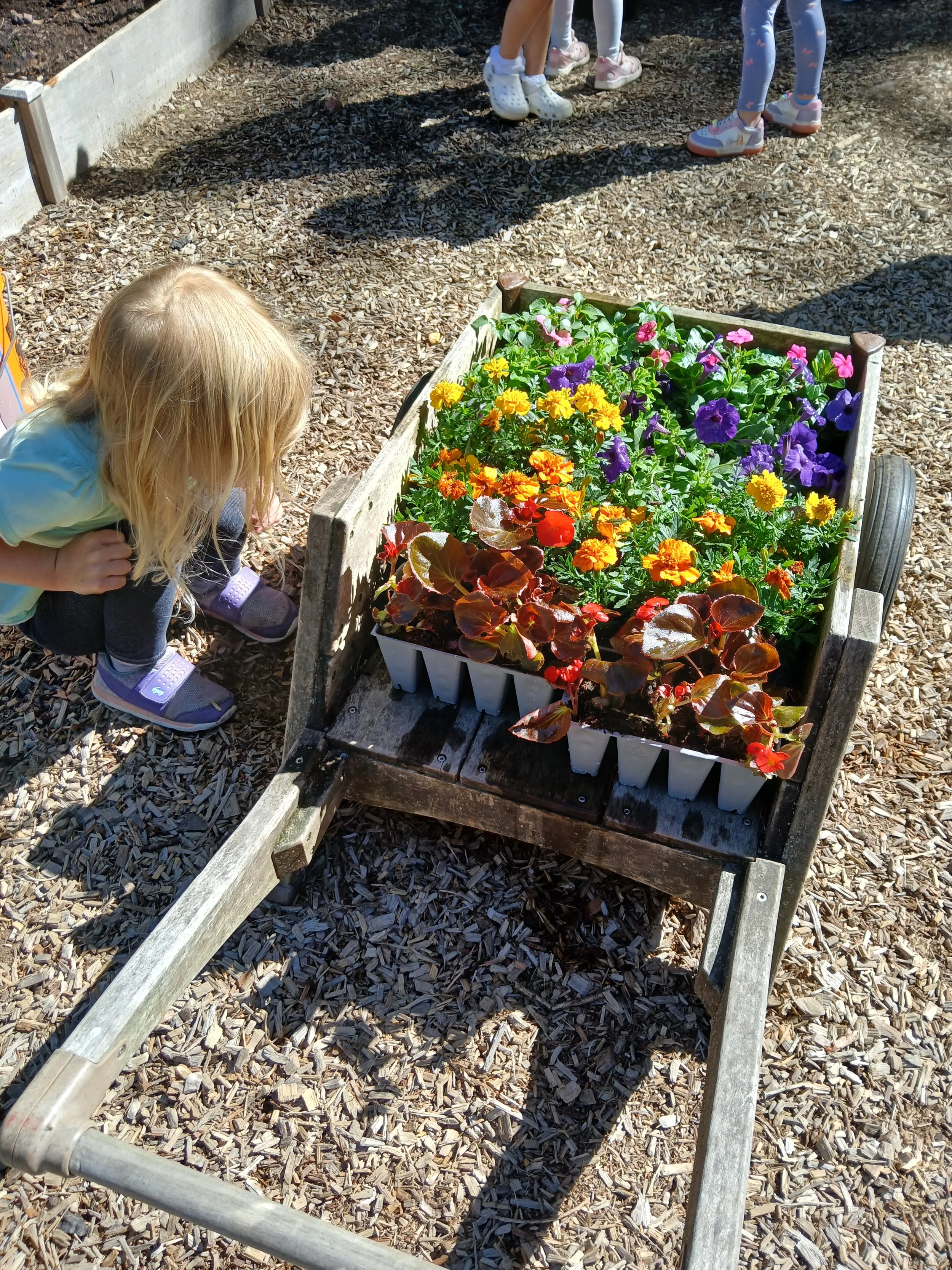 garden flowers vertical.jpg
