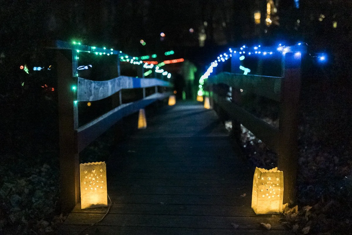 lantern walk path lk.jpg