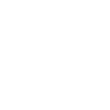 Shield.png