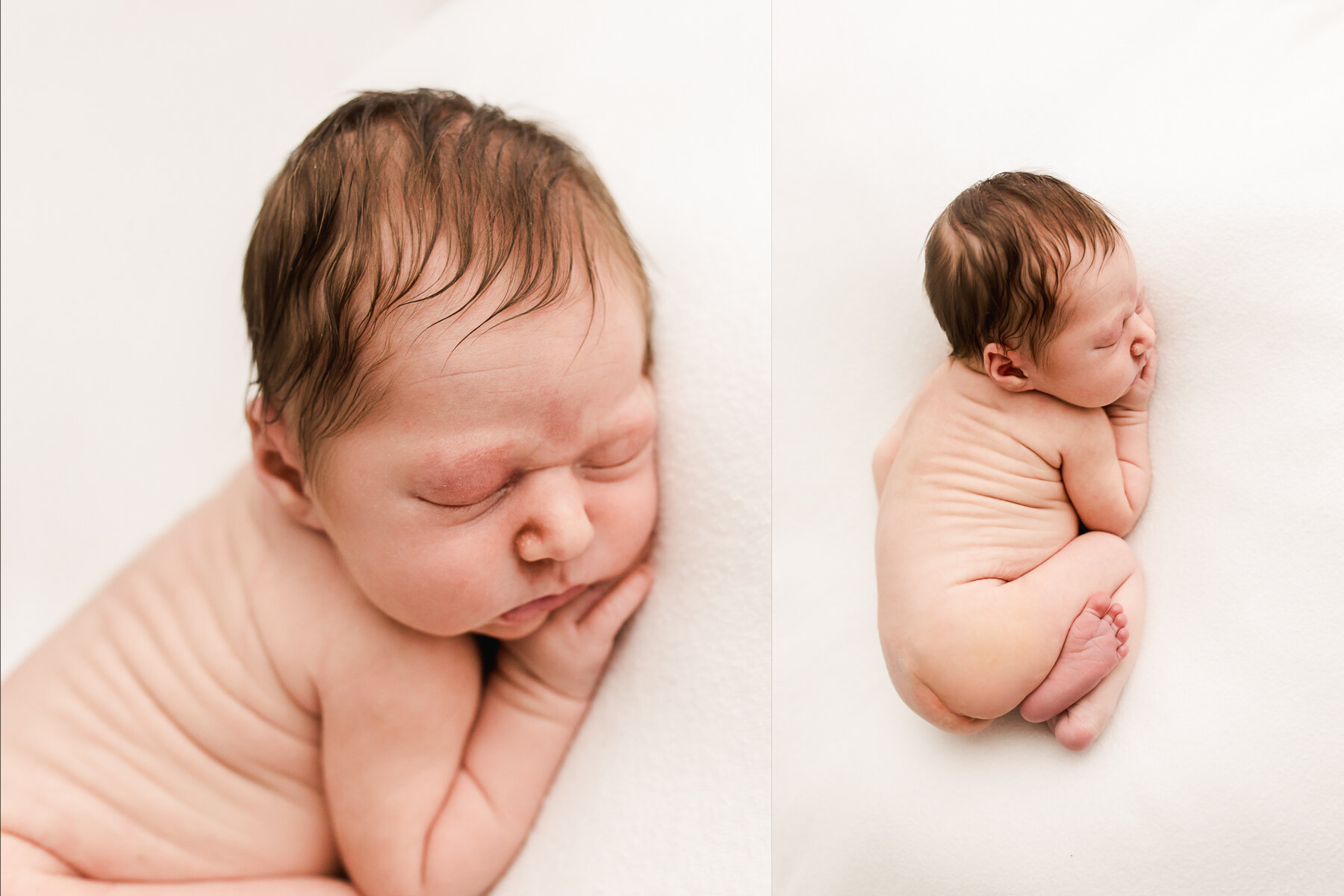 Plano posed newborn photography