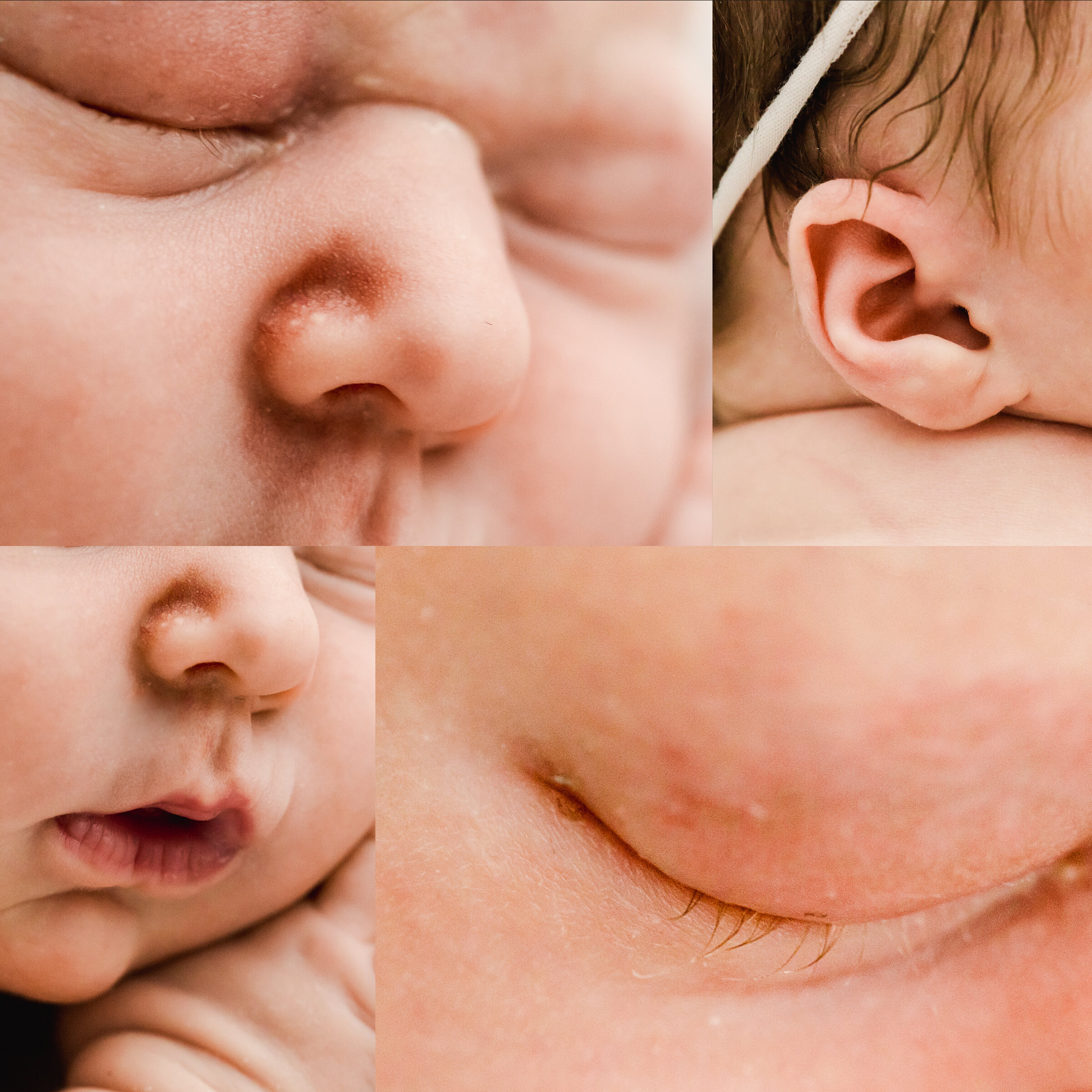 West Plano newborn photographer details macro