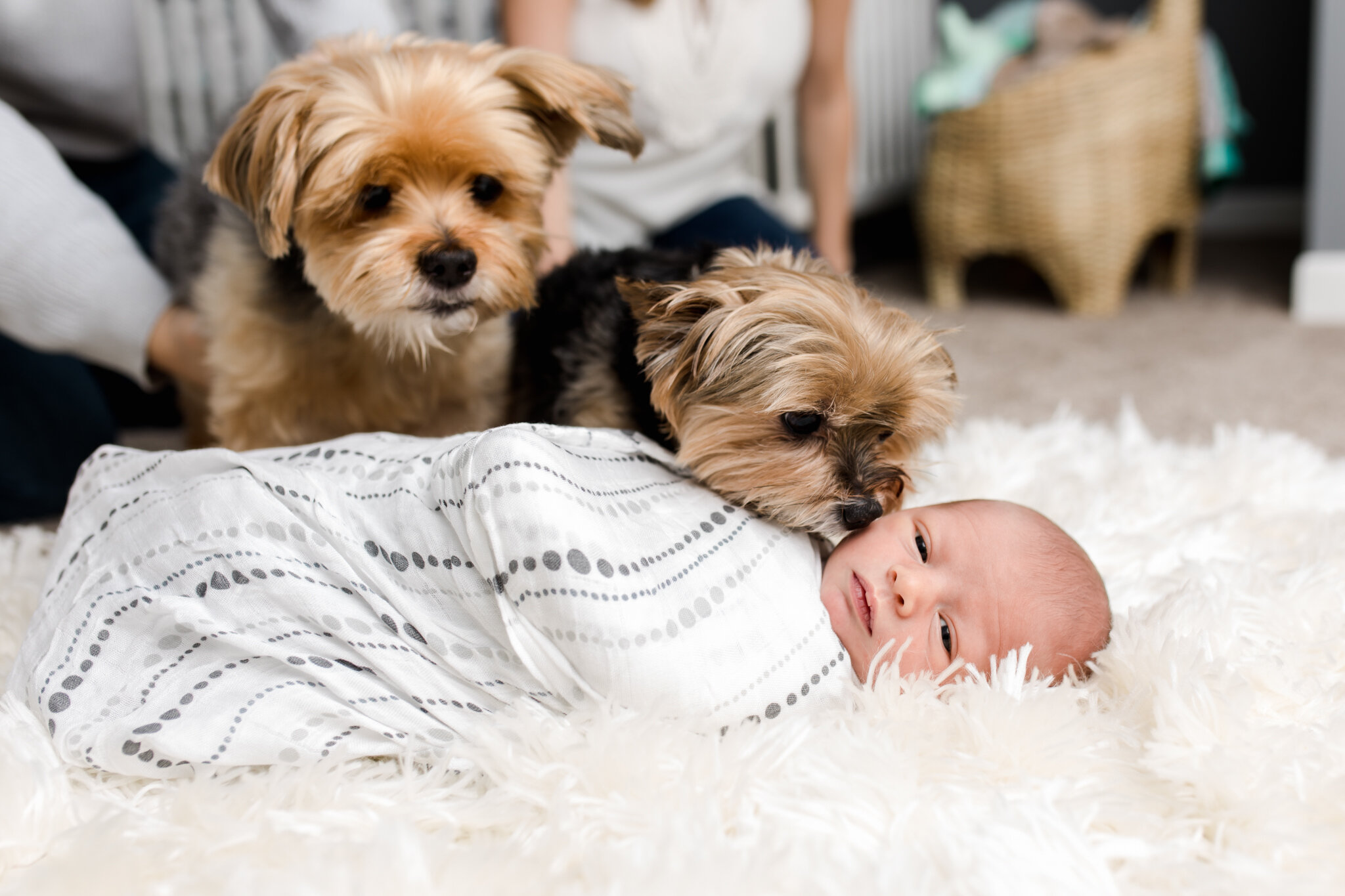 McKinney photographer best in-home newborn session