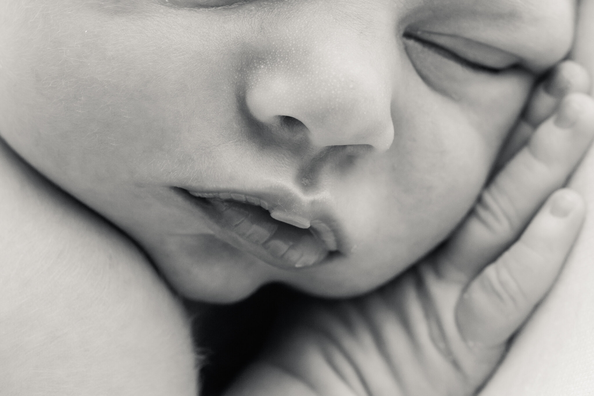 newborn photographers Dallas