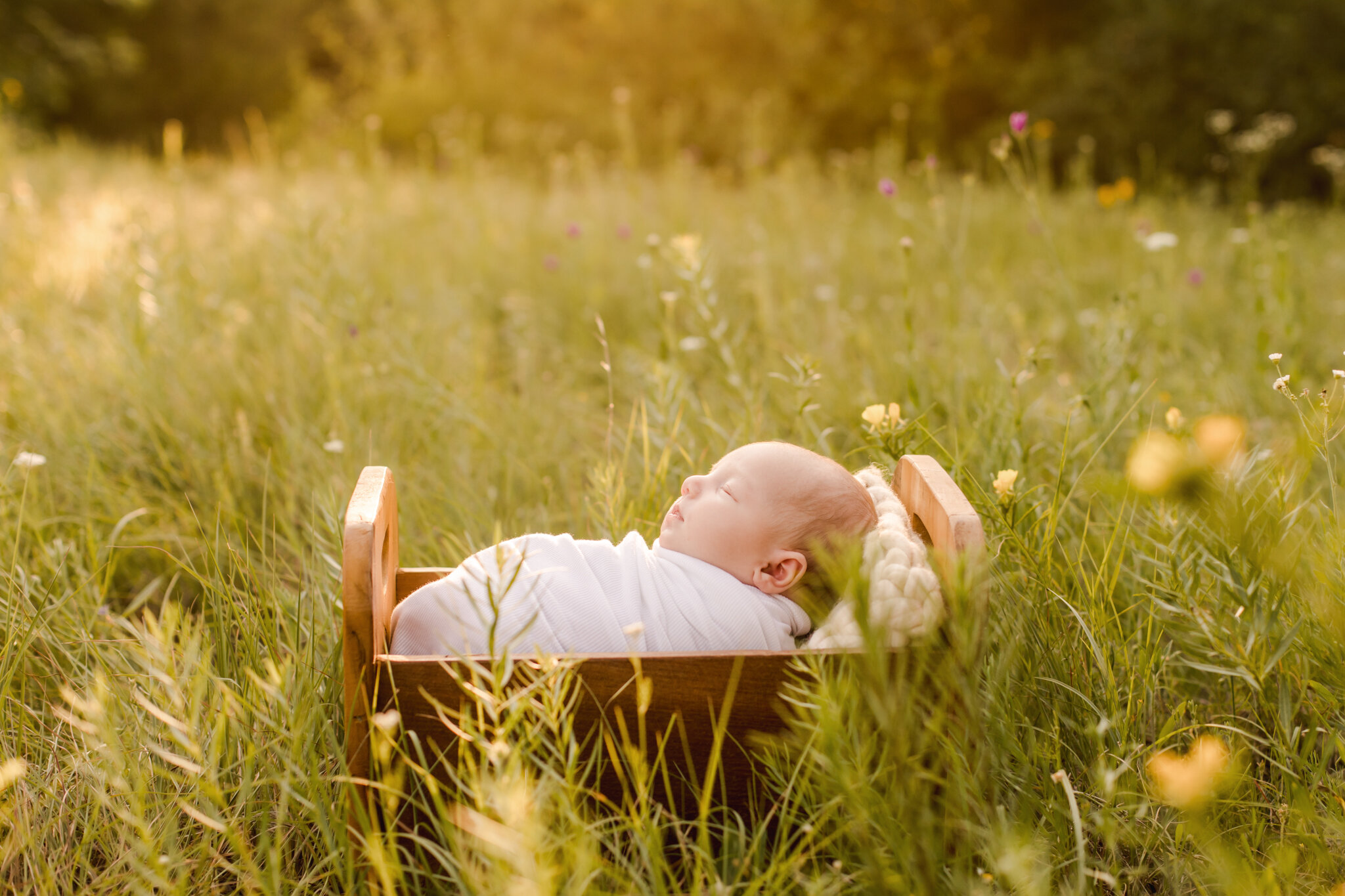 covid safe careful newborn photographer dallas plano