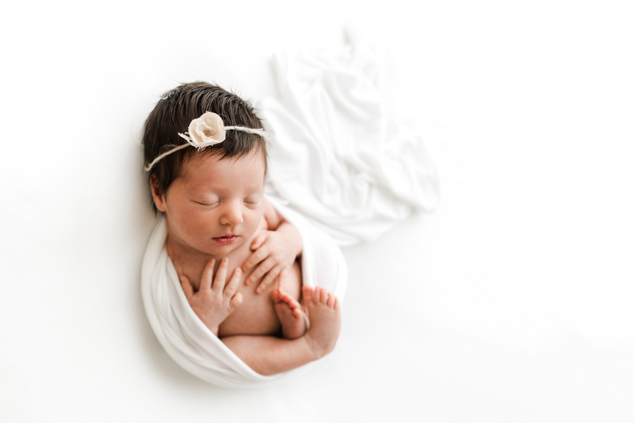 Addison Dallas newborn photos best