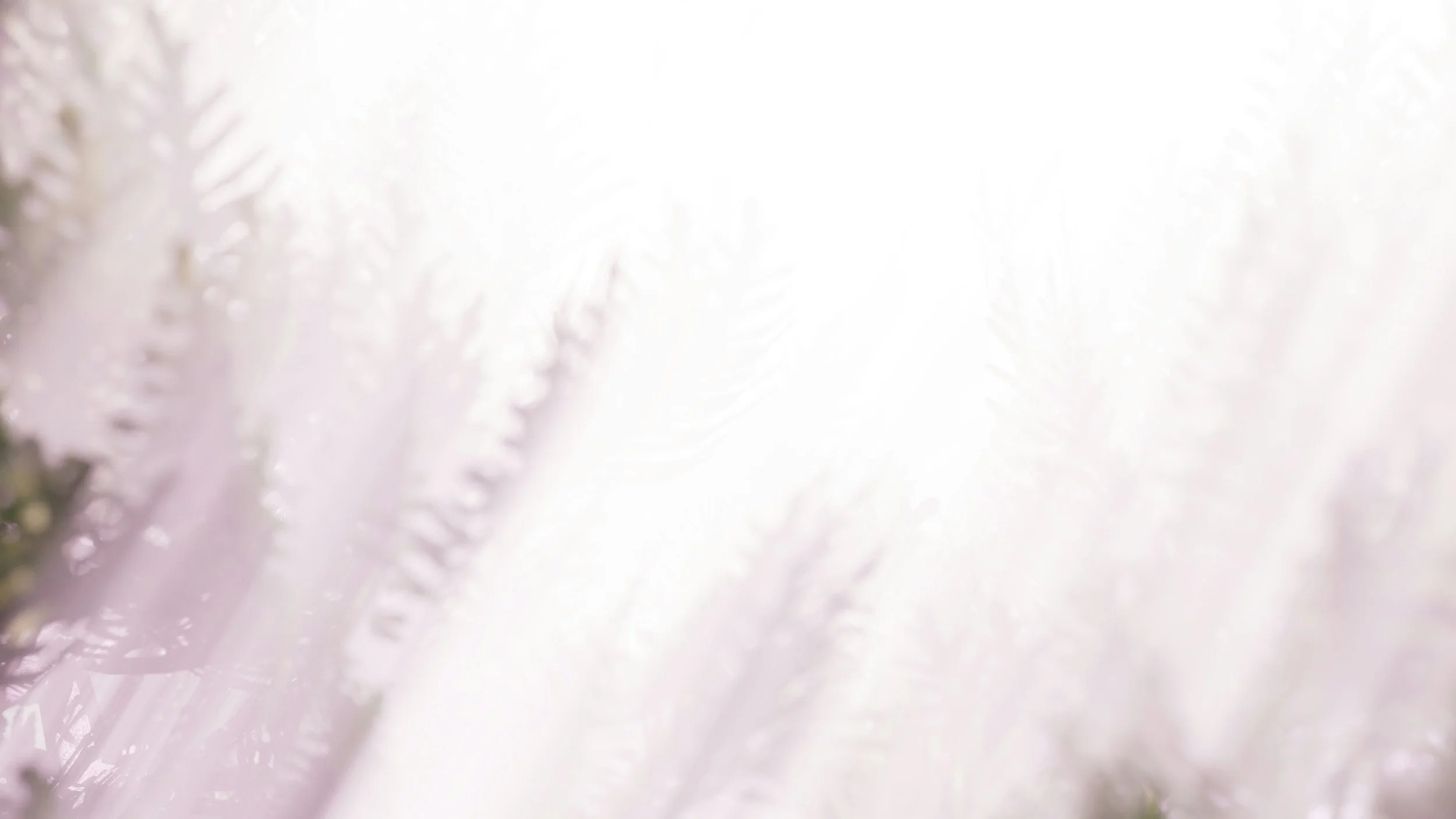 Frosted icy surface with intricate ice crystal patterns in white and light pink hues.