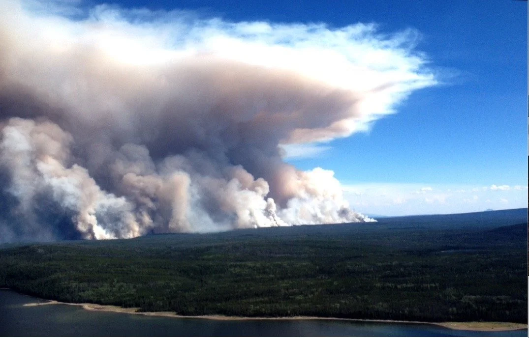 Image 2022-07-05 at 3.58 PM.jpeg