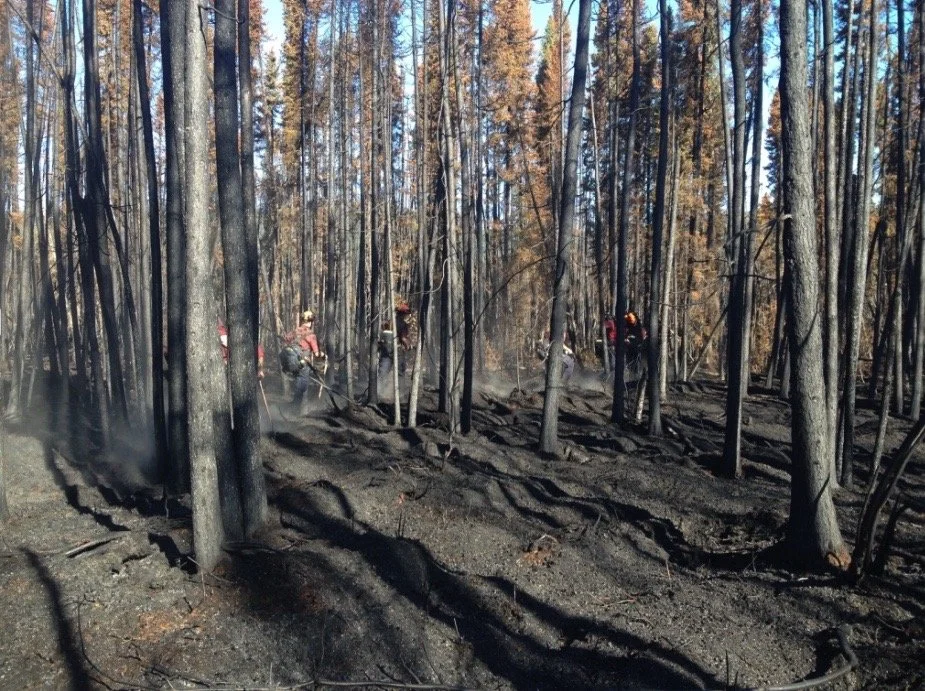 Image 2022-07-07 at 12.14 PM.jpeg