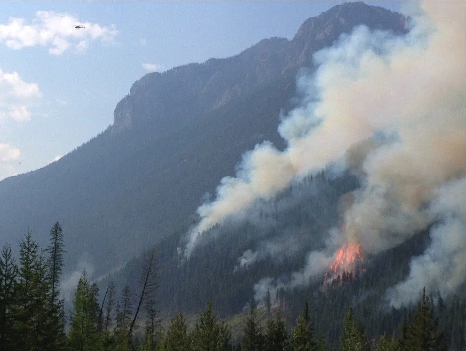 Image 2022-07-05 at 4.42 PM.jpeg