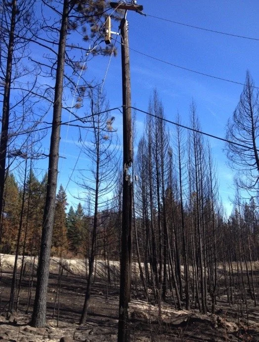 Image 2022-07-05 at 4.02 PM.jpeg