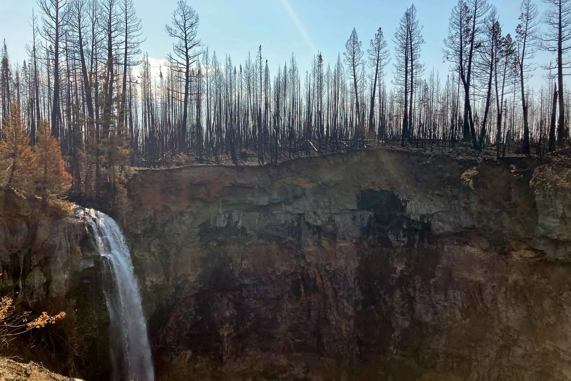 sawtooth-1658.jpg