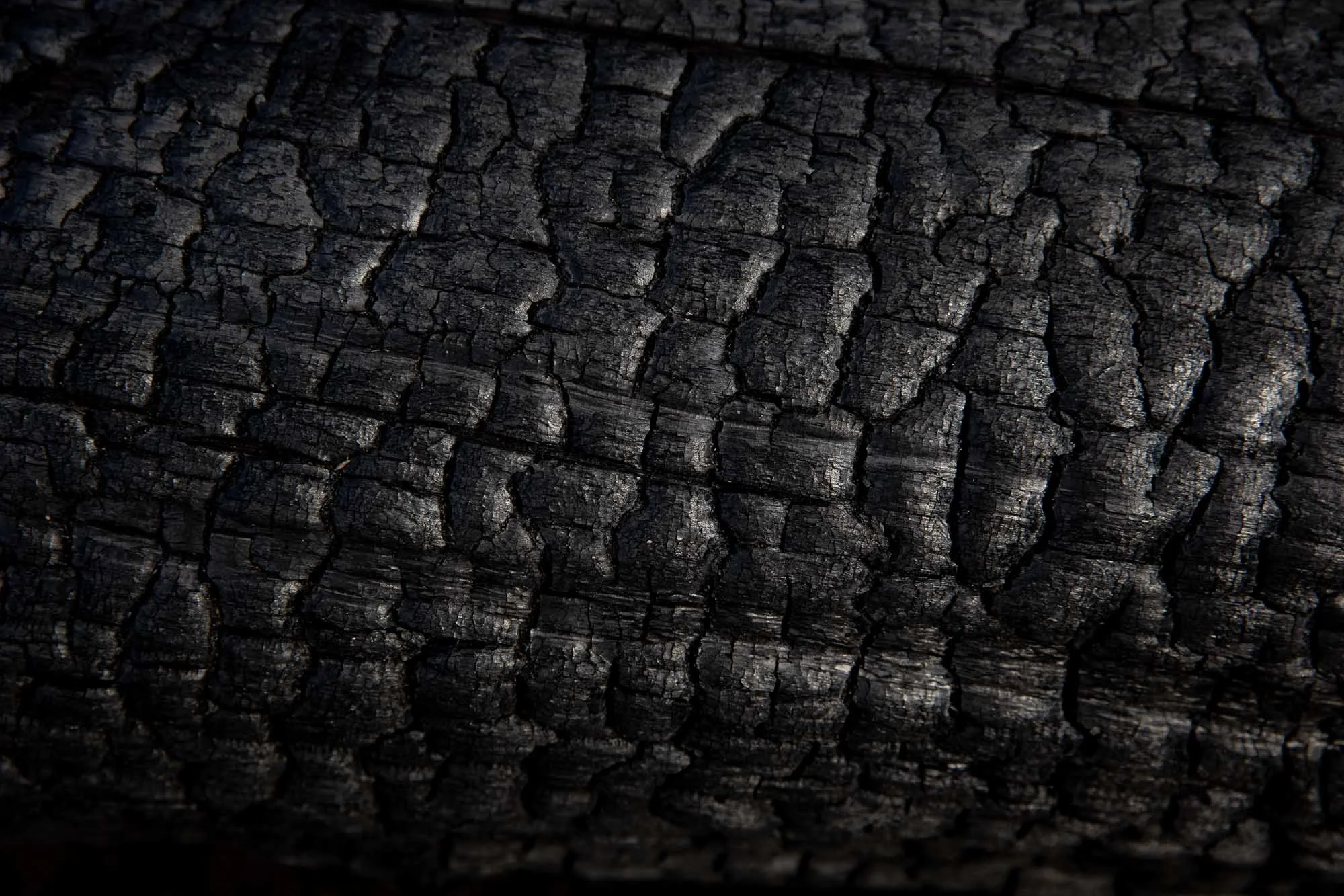 sawtooth-6450.jpg