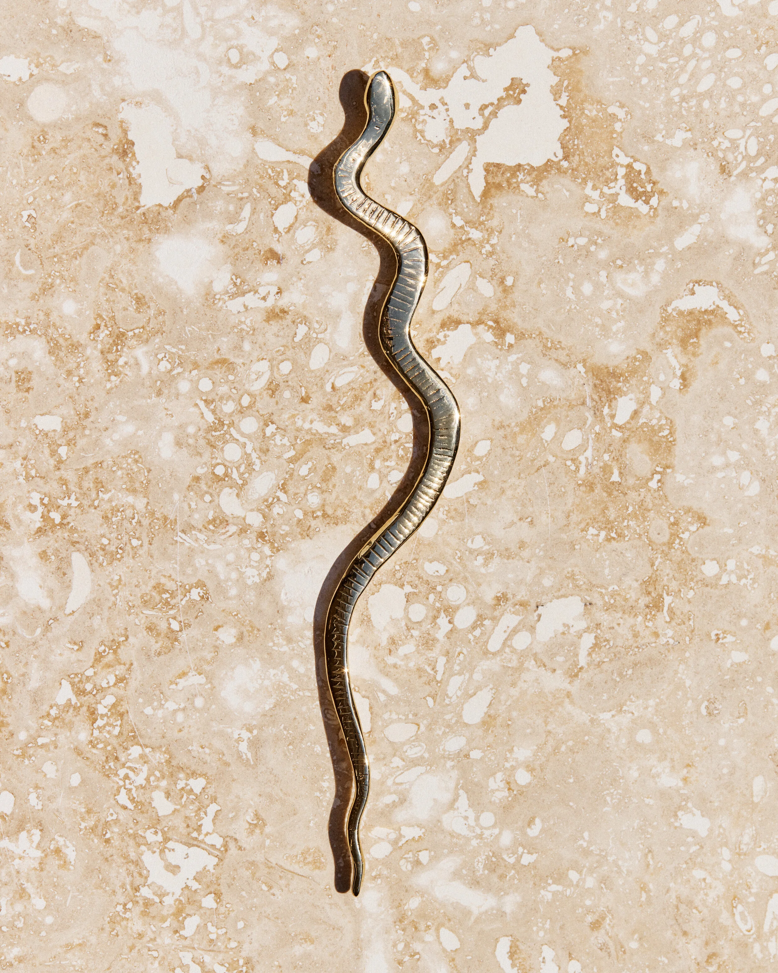 Snake #1- 2106026_05_1042.jpg
