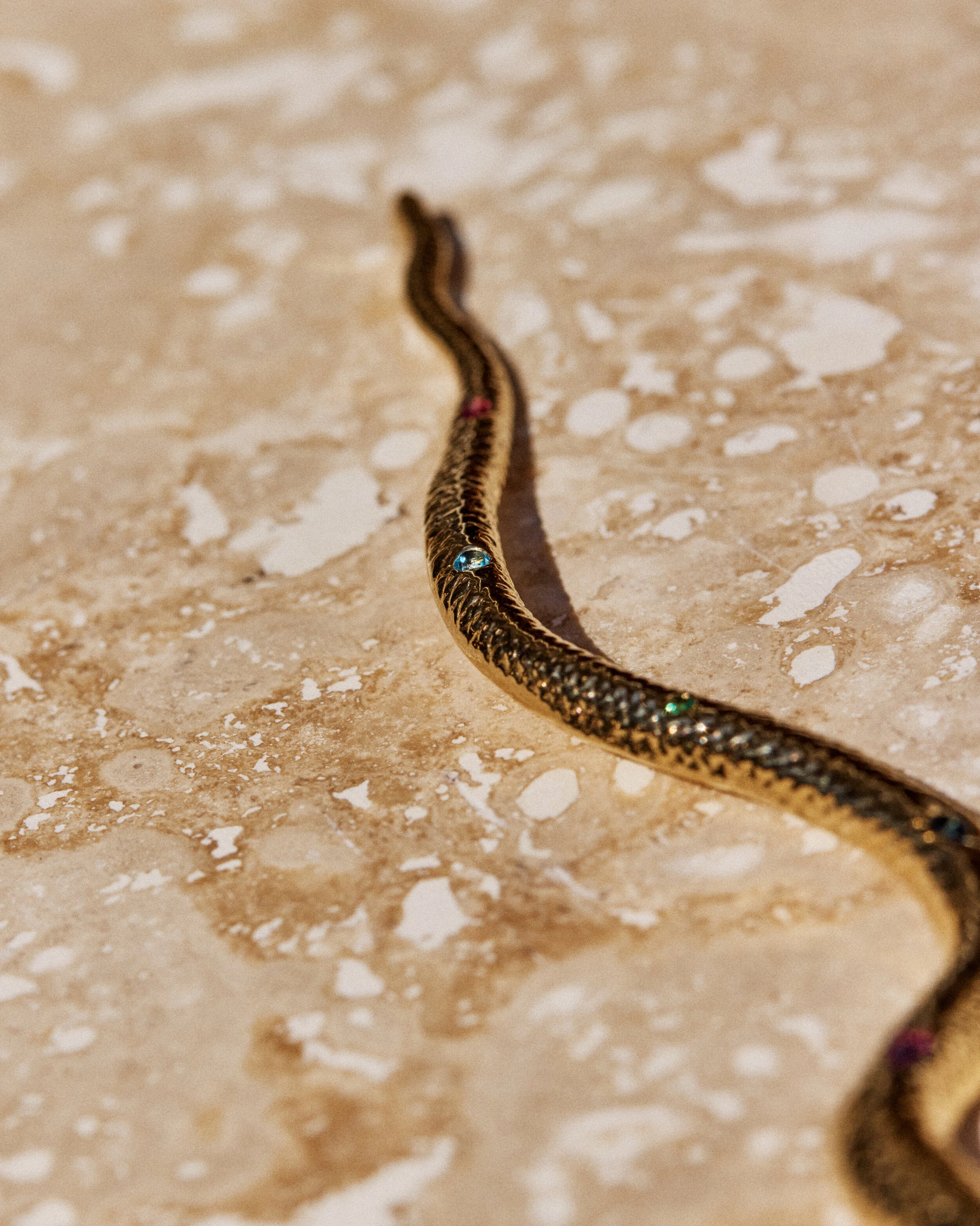Snake #1- 2106026_05_1112.jpg