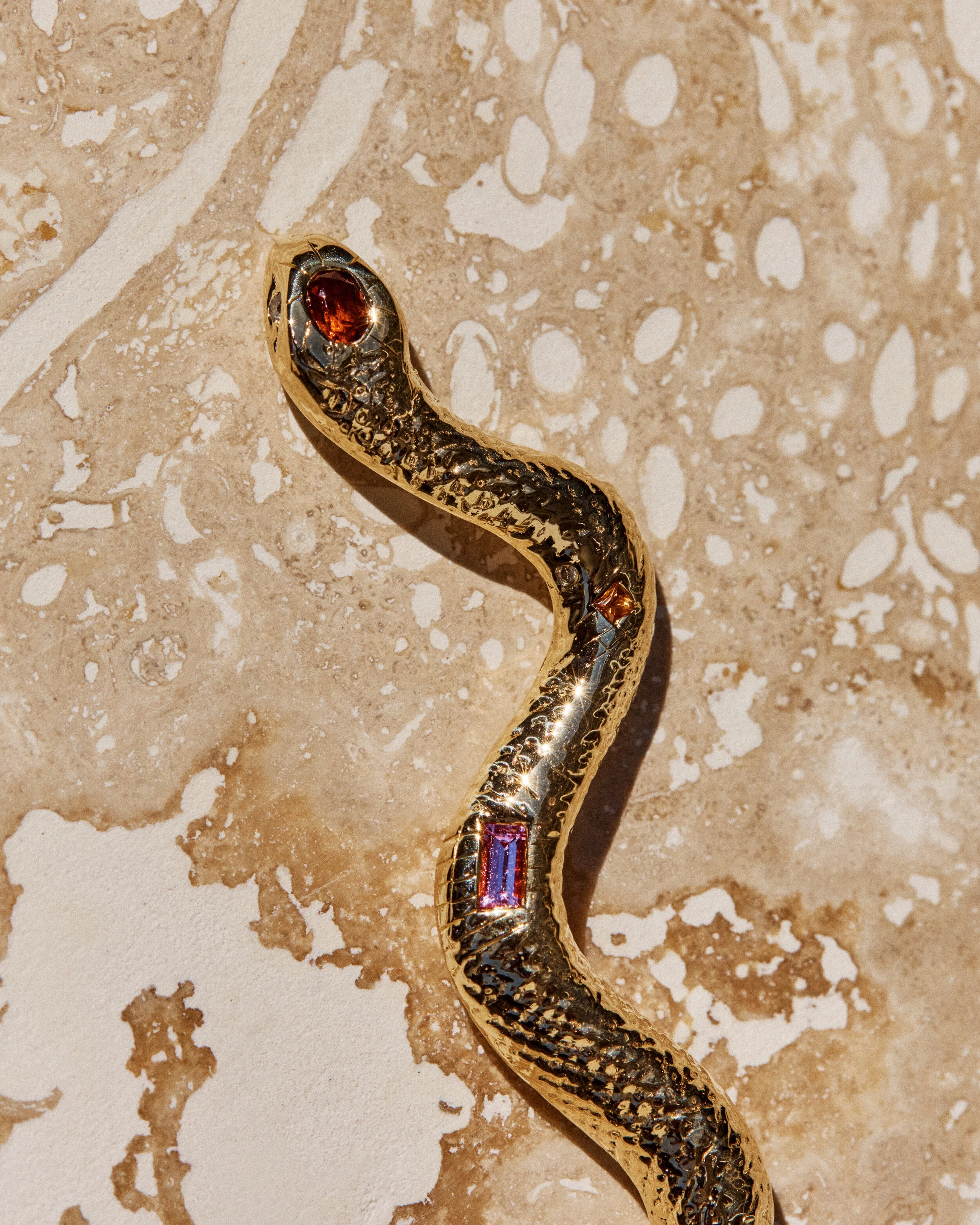 Snake #1- 2106026_05_1117.jpg