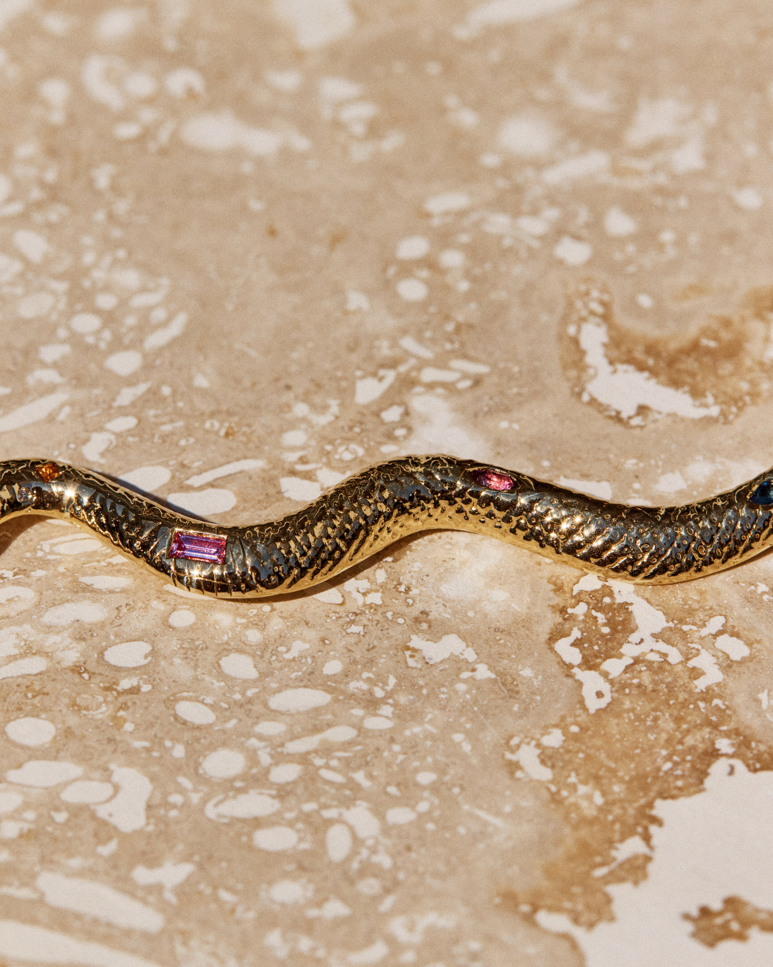 Snake #1- 2106026_05_1118.jpg