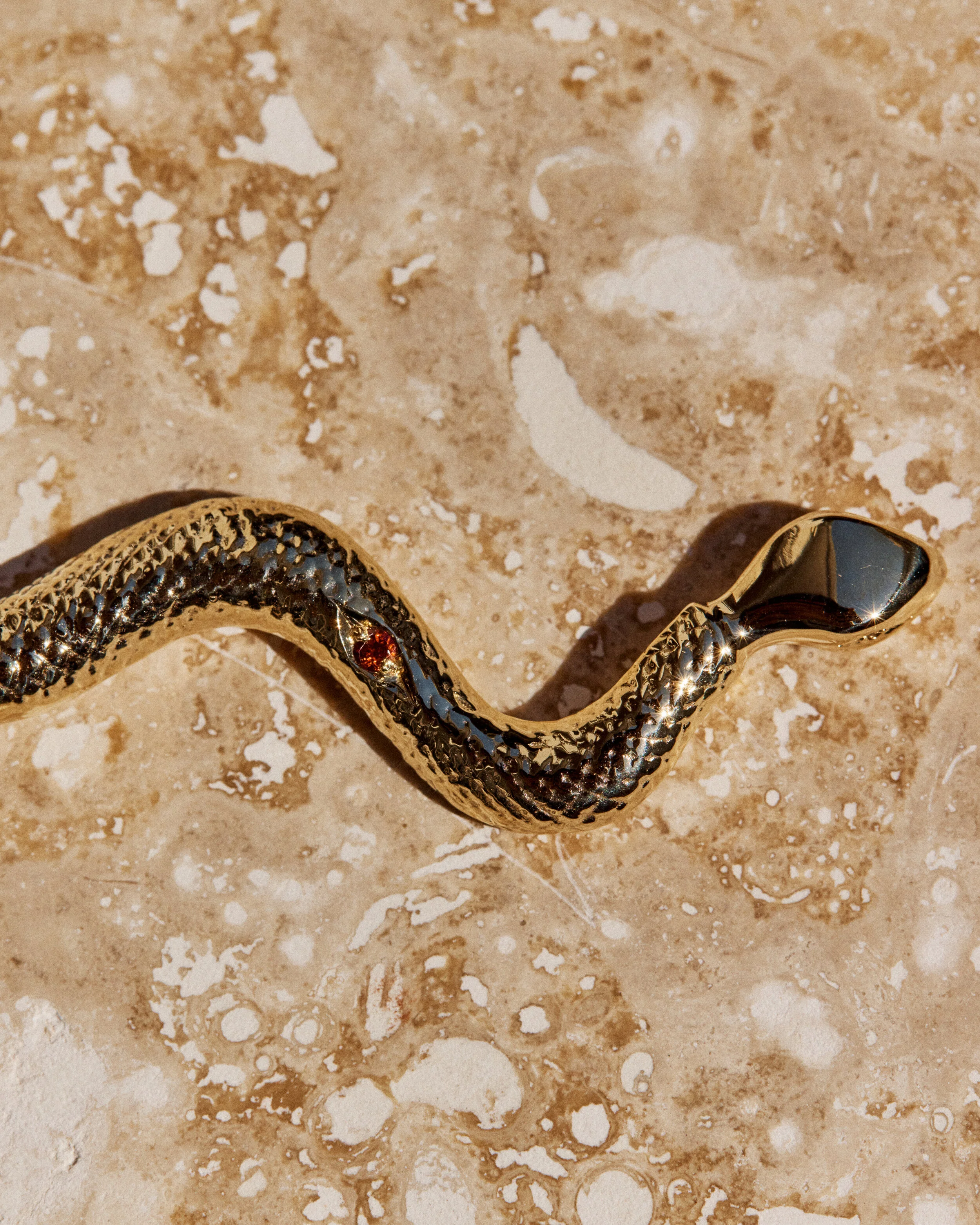 Snake #5- 2106026_05_1130.jpg
