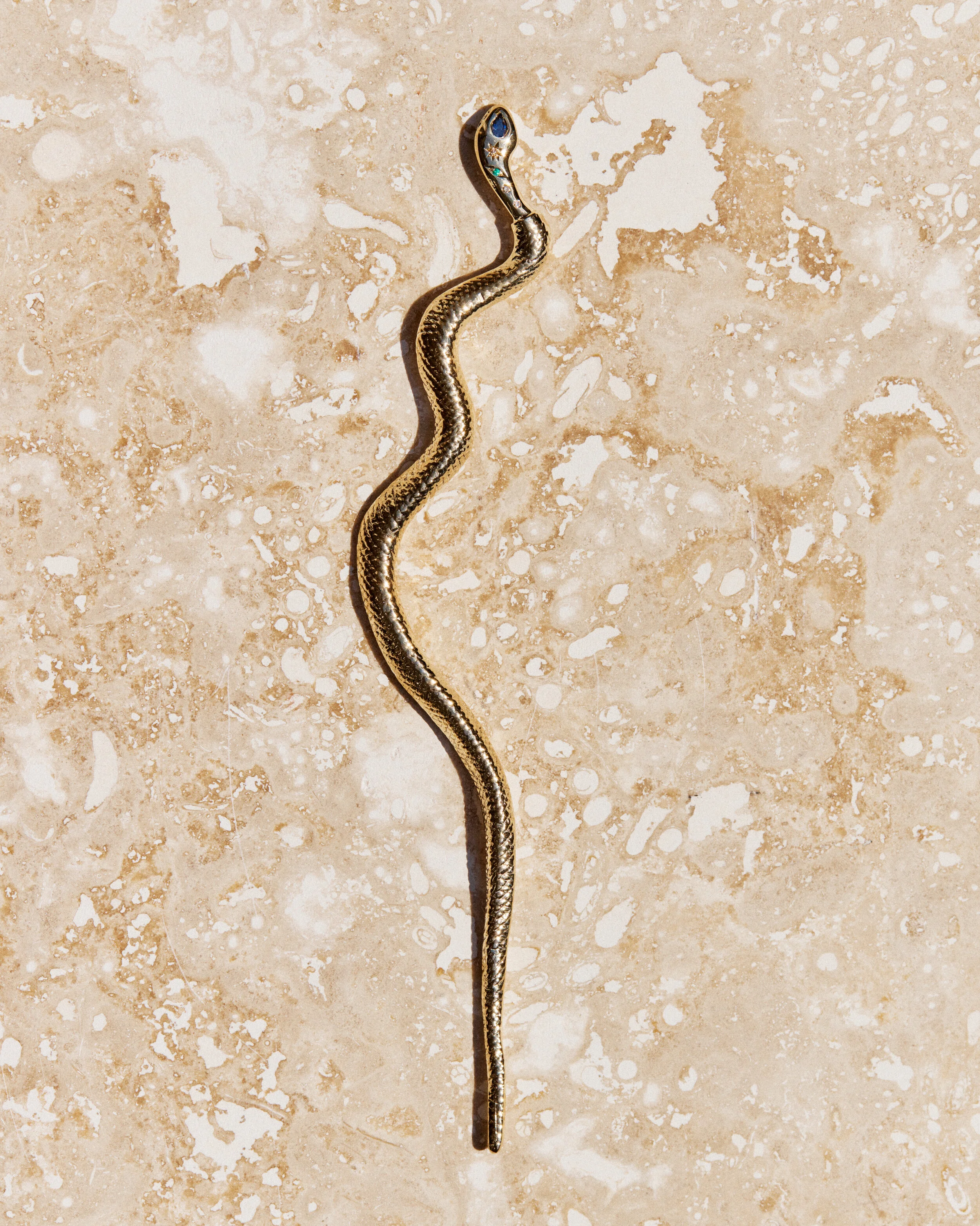 Snake #6- 2106026_05_1040.jpg