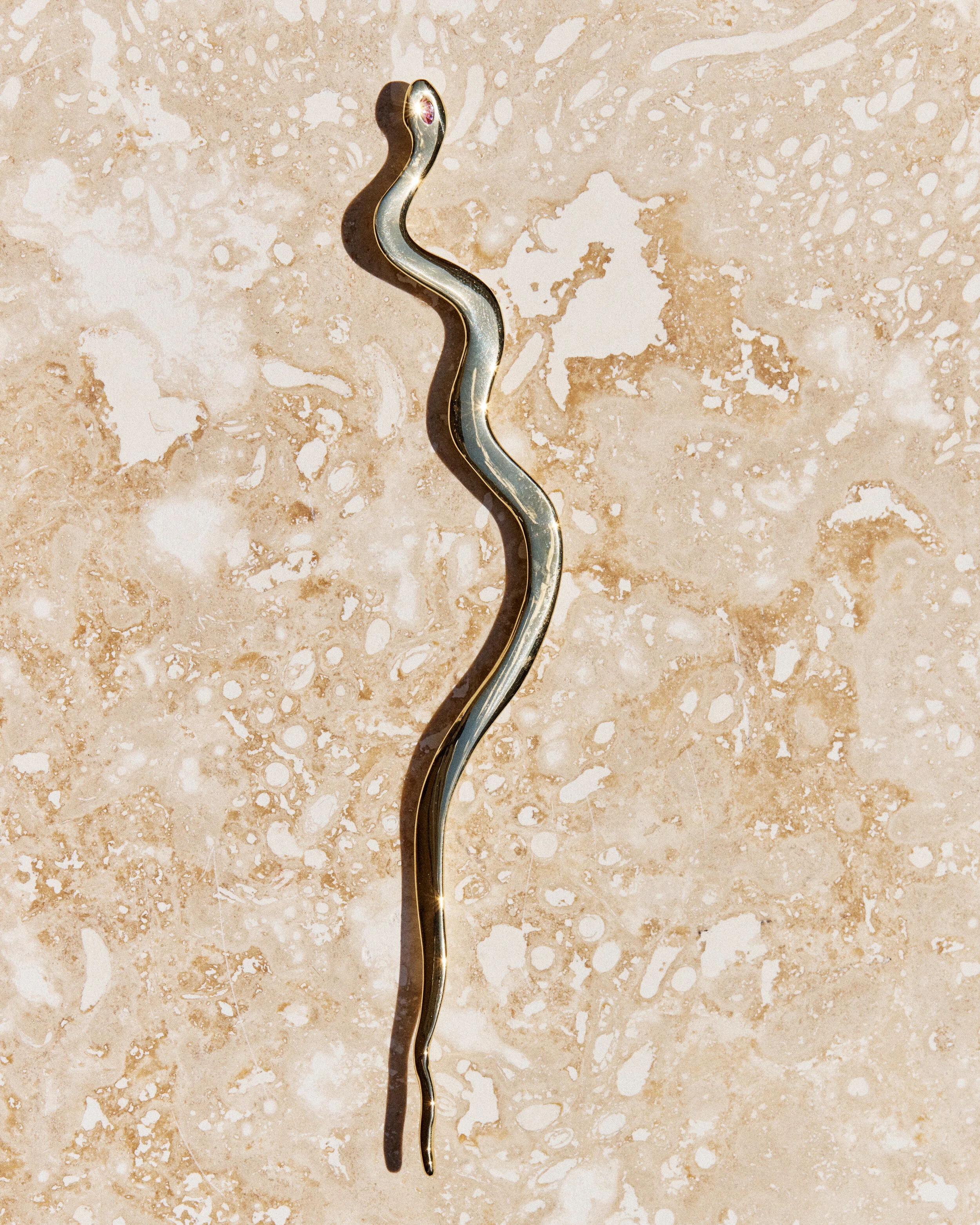 Snake #7- 2106026_05_1054.jpg