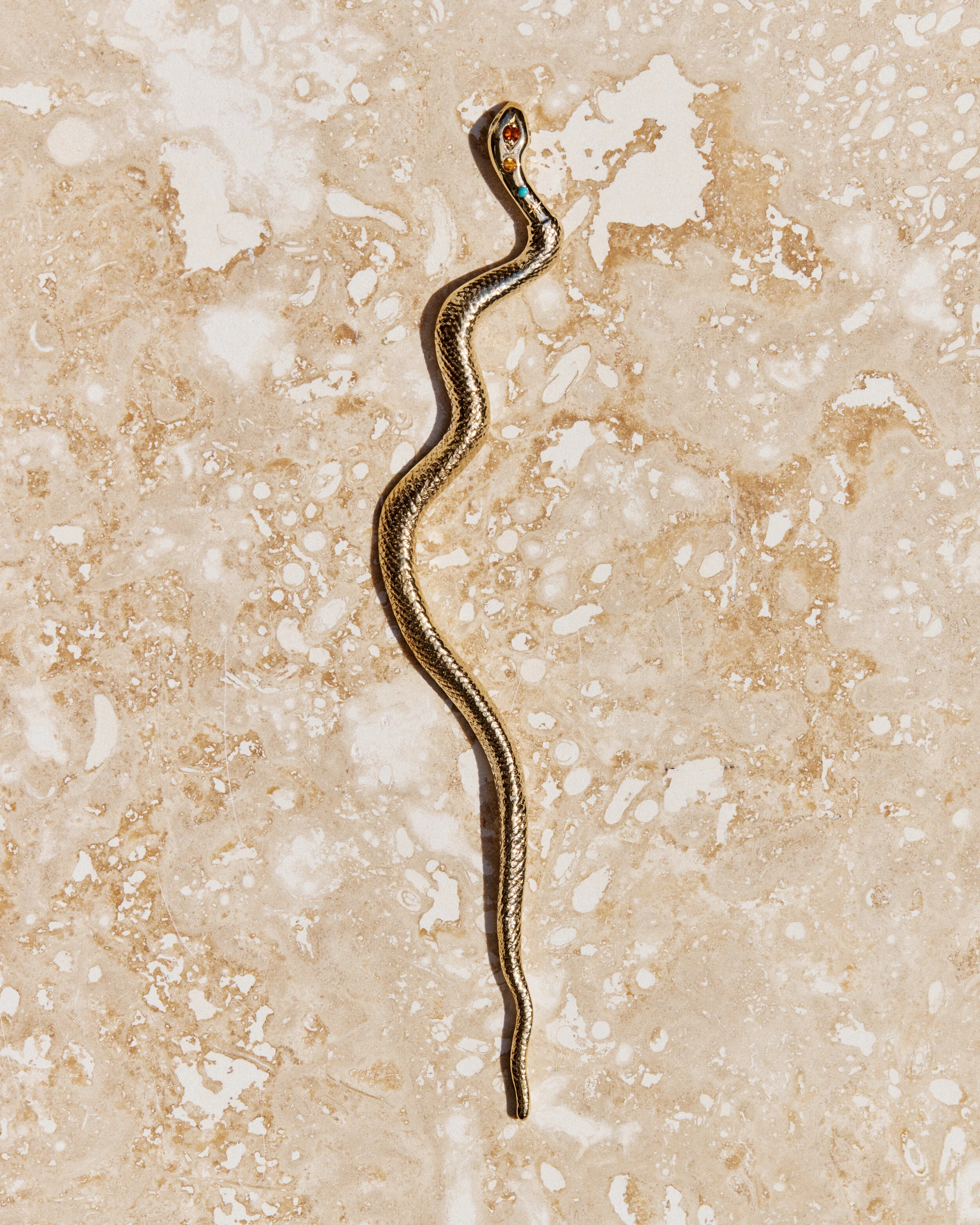 Snake #10- 2106026_05_1027.jpg