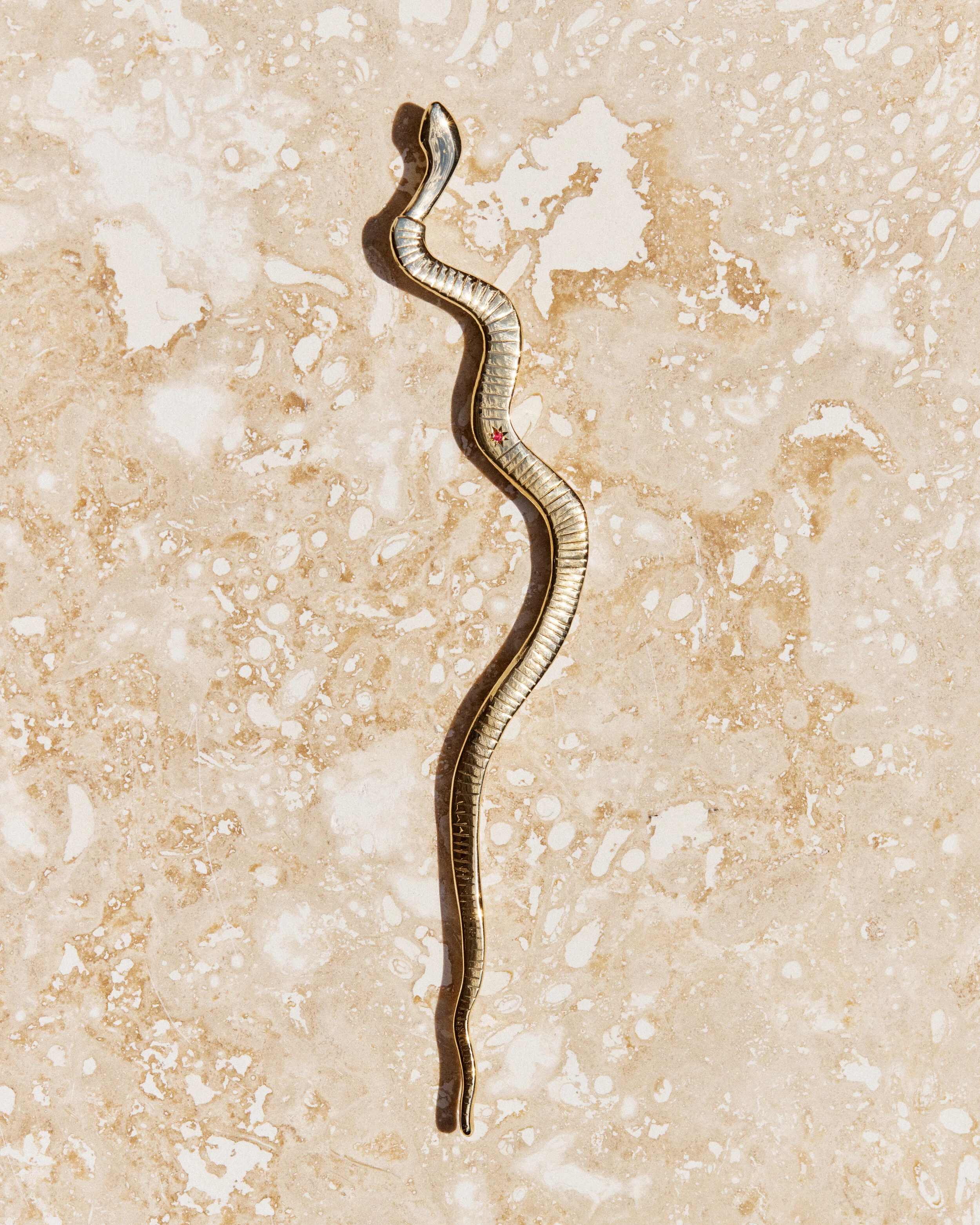 Snake #10- 2106026_05_1028.jpg