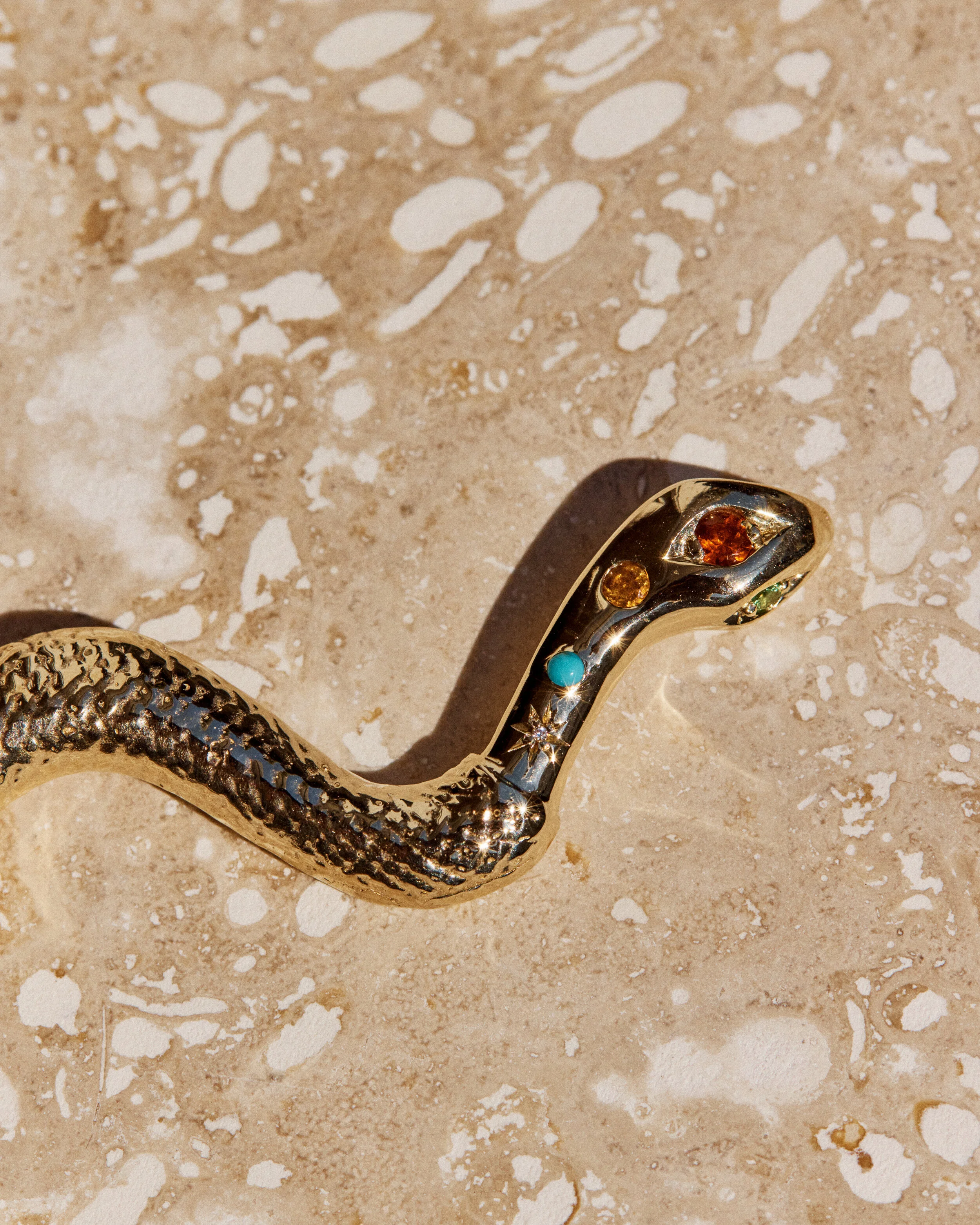 Snake #10- 2106026_05_1091.jpg