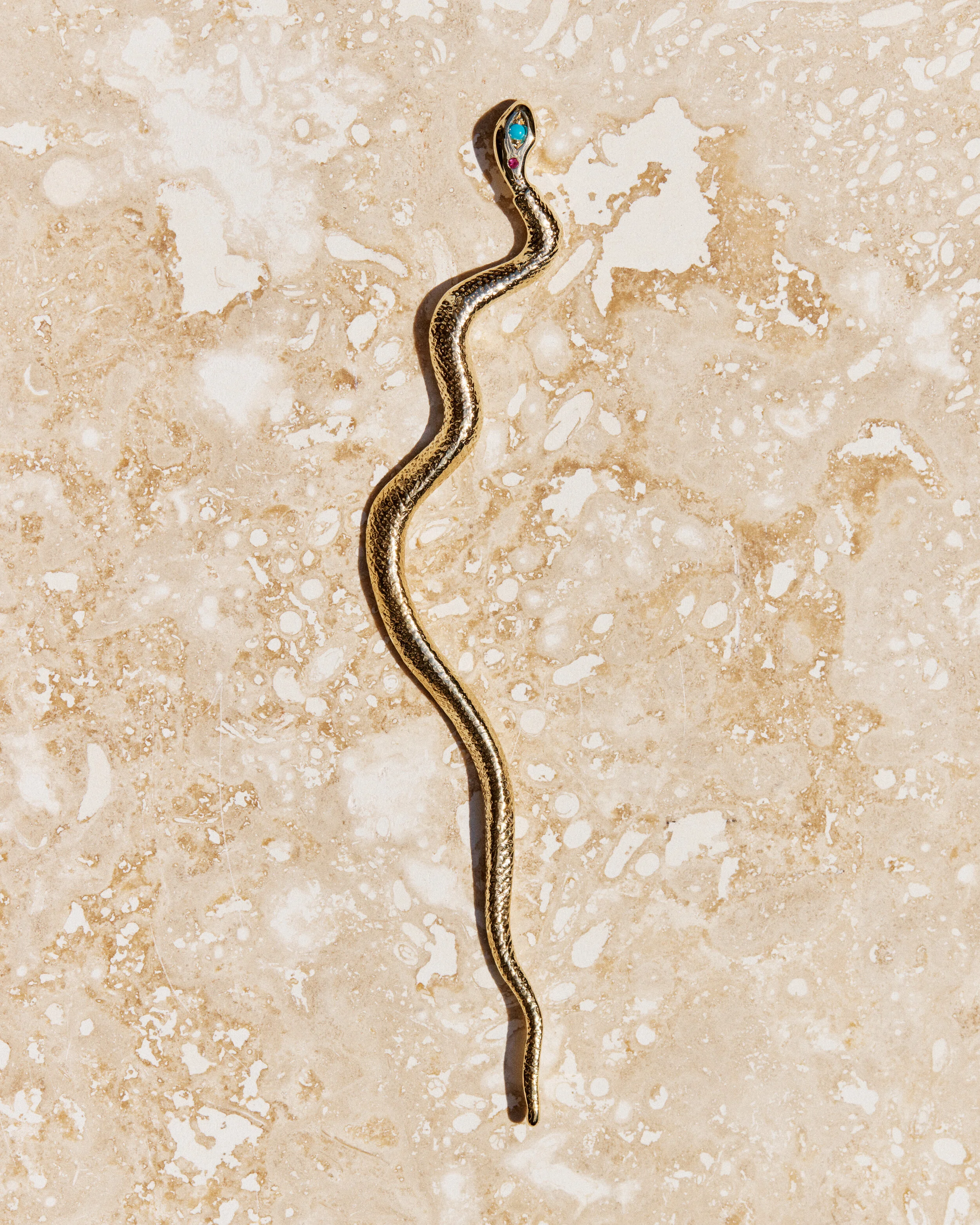 Snake #11- 2106026_05_1030.jpg