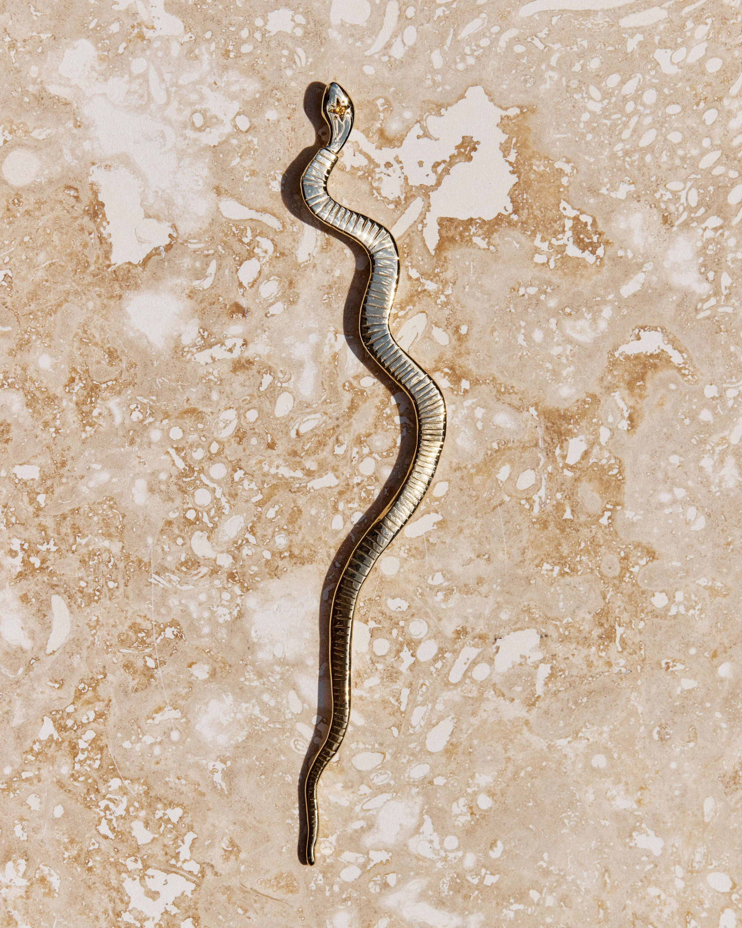 Snake #11- 2106026_05_1032.jpg