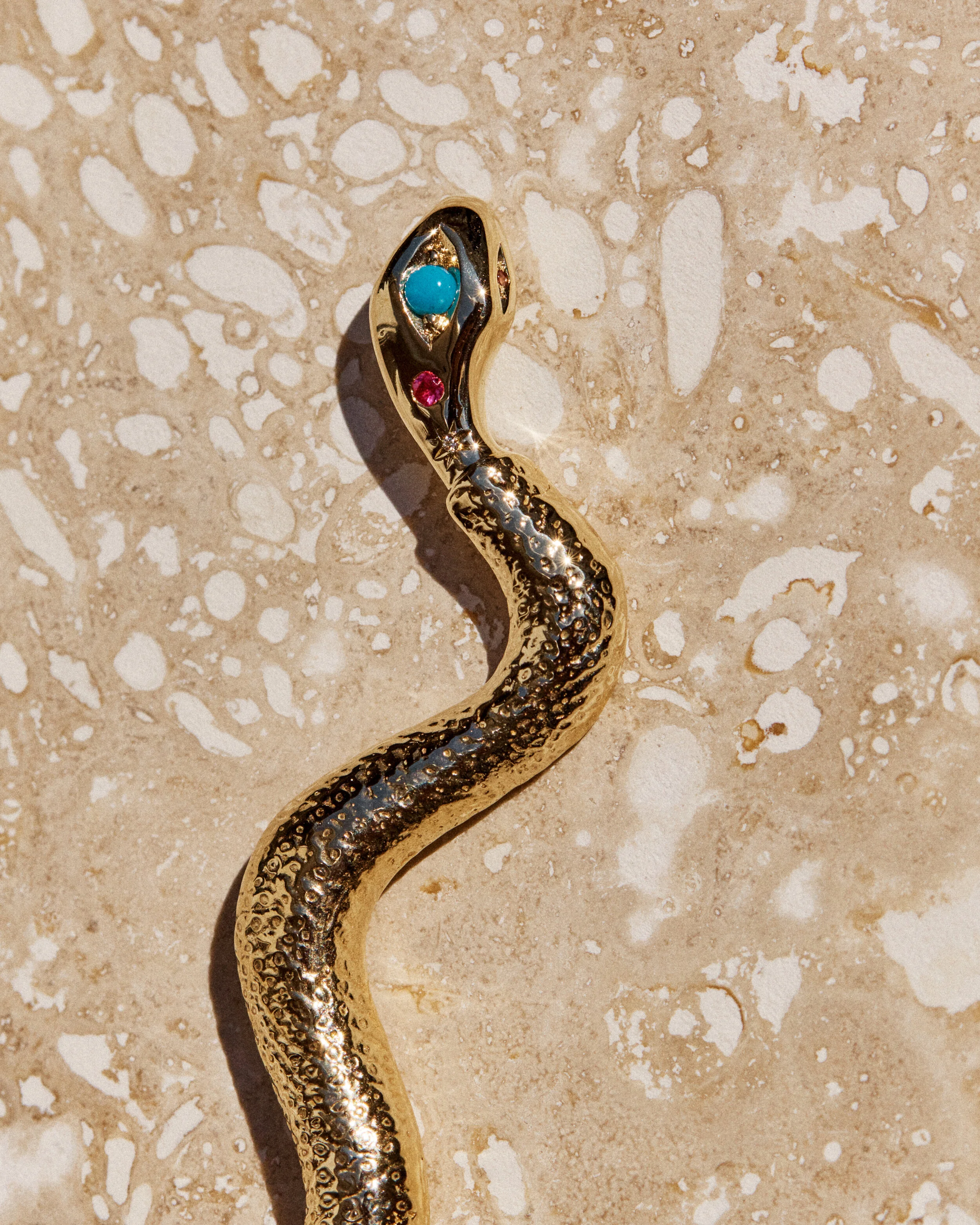 Snake #11- 2106026_05_1094.jpg