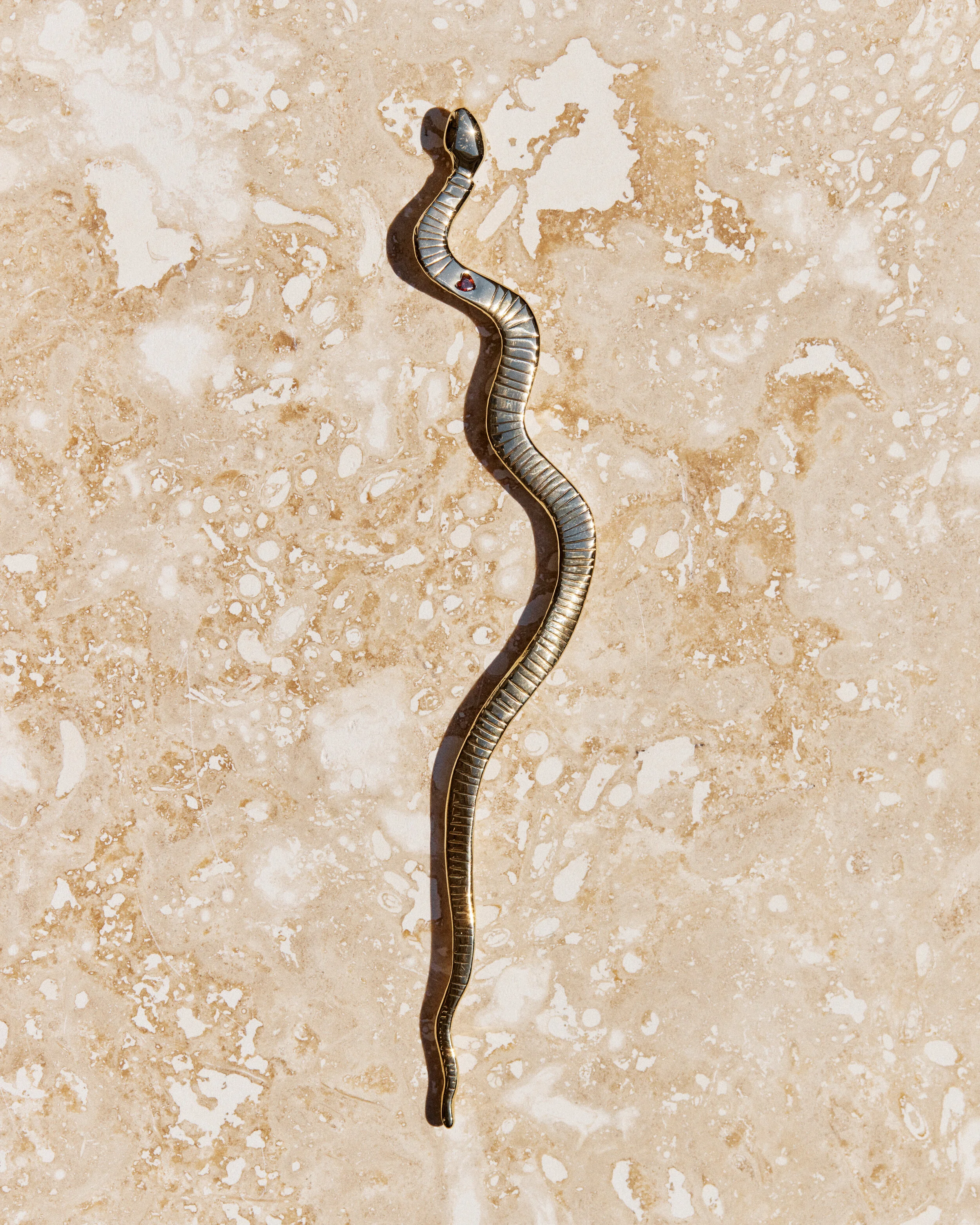 Snake #16- 2106026_05_1058.jpg