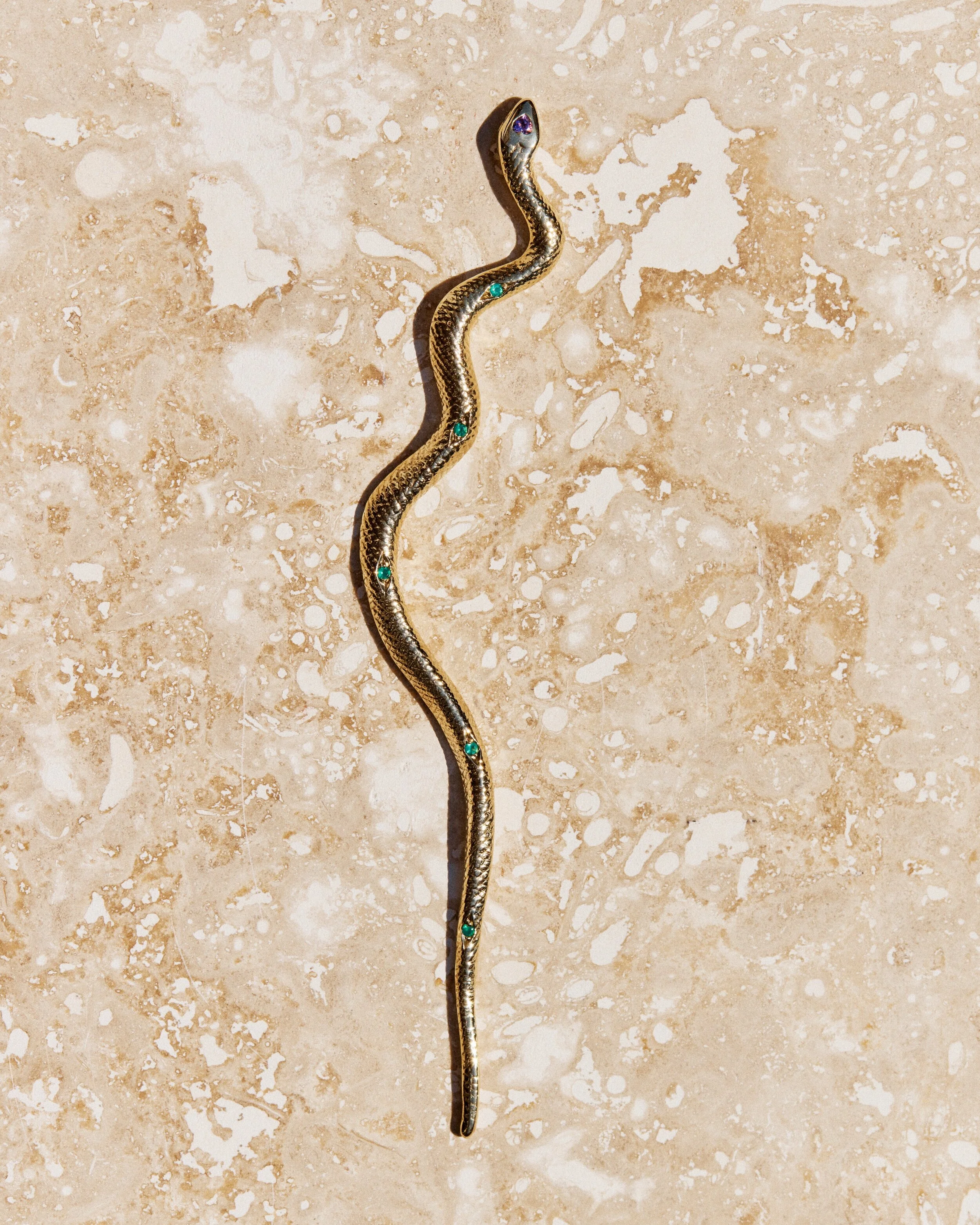 Snake+%2315-+2106026_05_1060.jpg