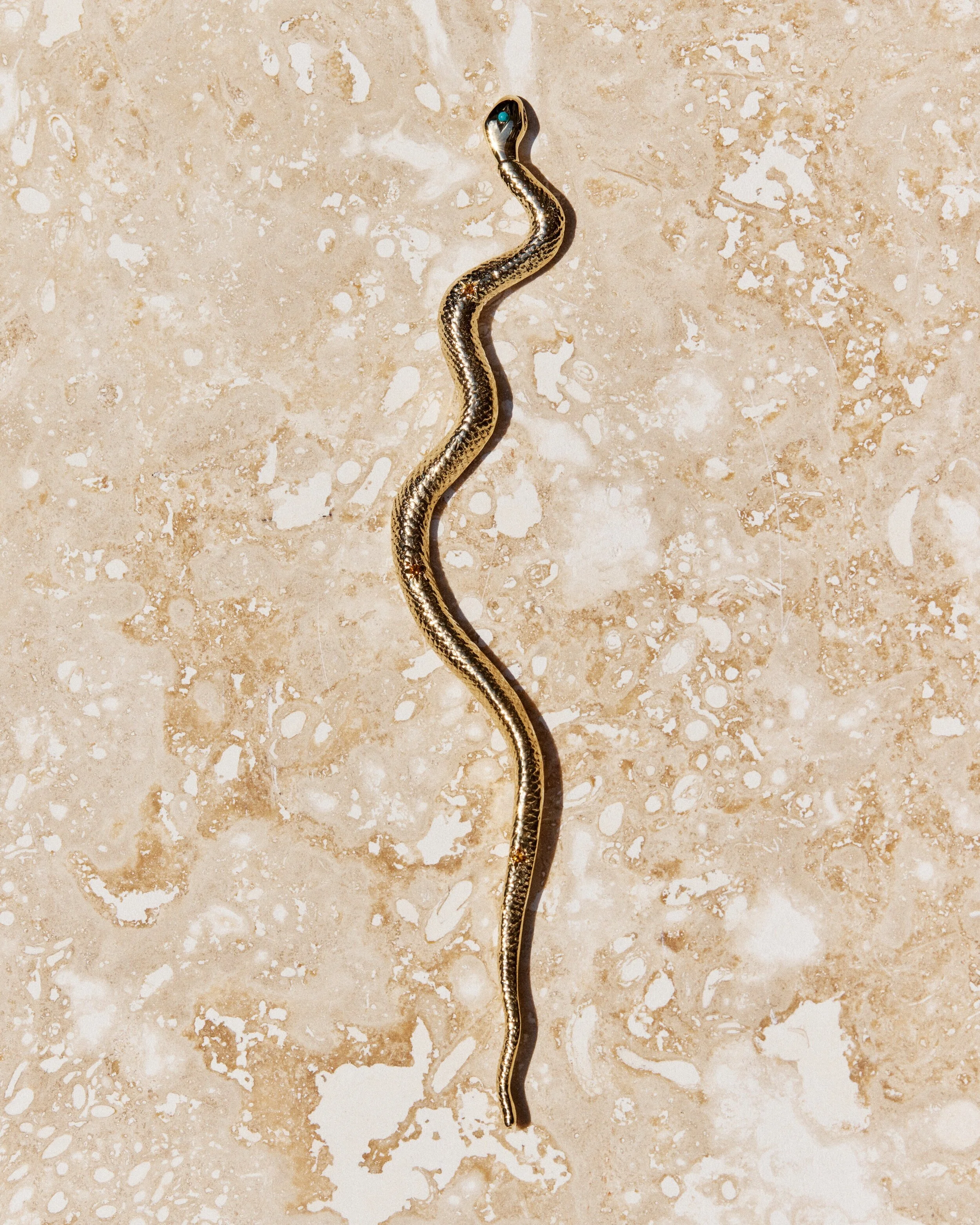 Snake+%238-+2106026_05_1015.jpg