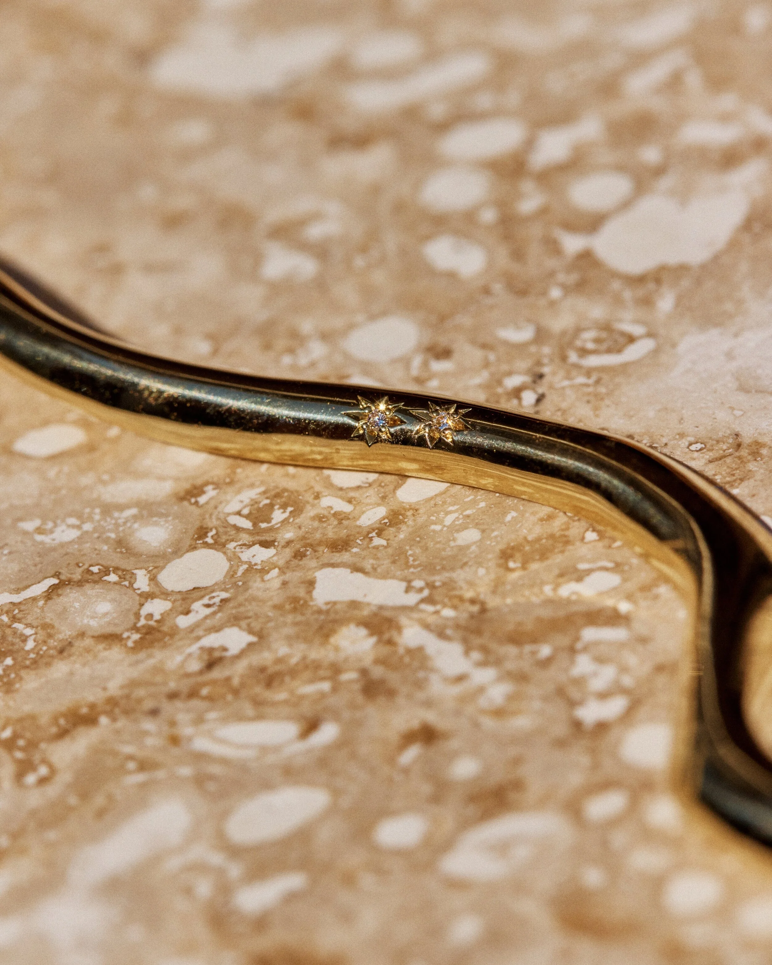 Snake+%237-+2106026_05_1137.jpg