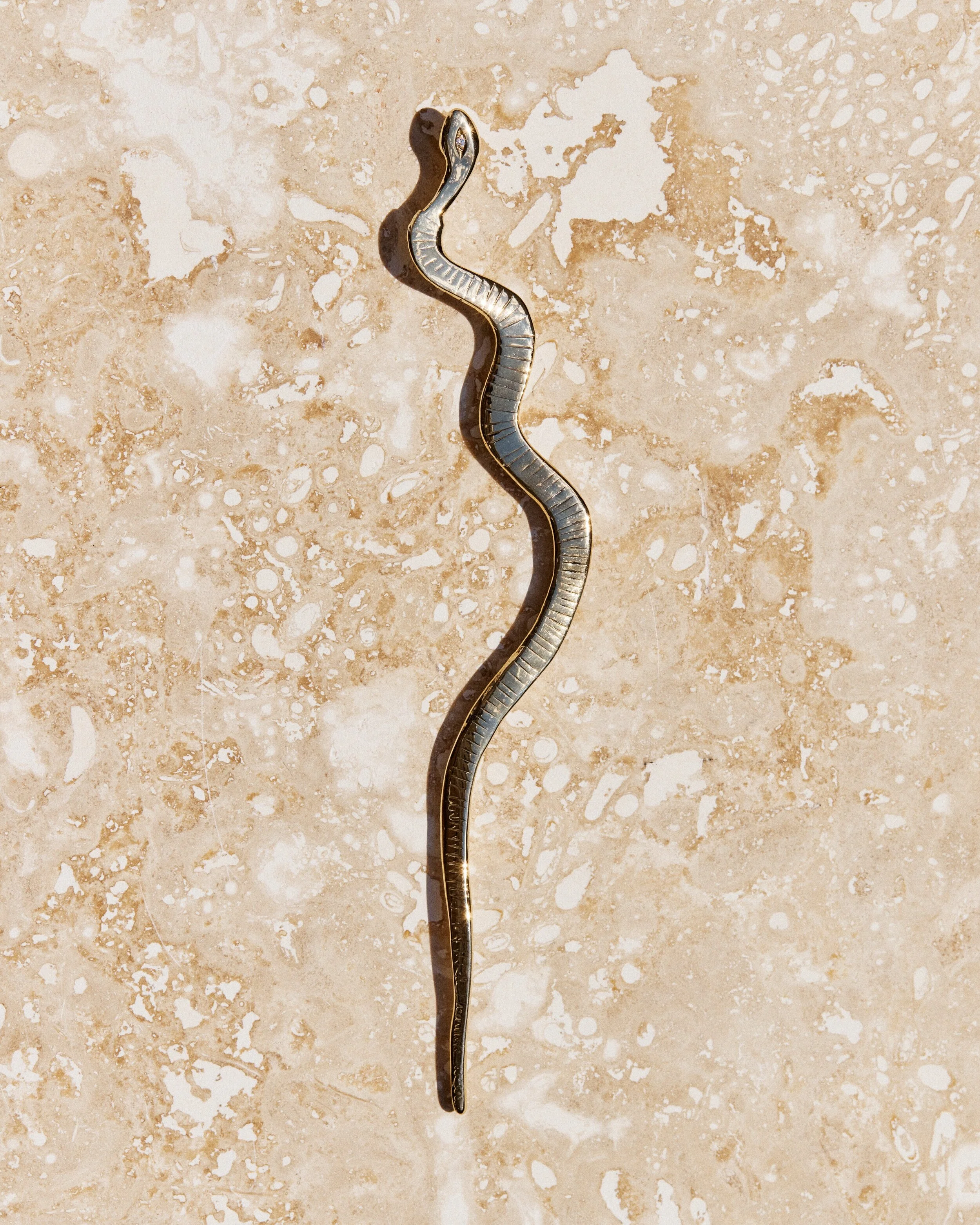 Snake+%236-+2106026_05_1037.jpg