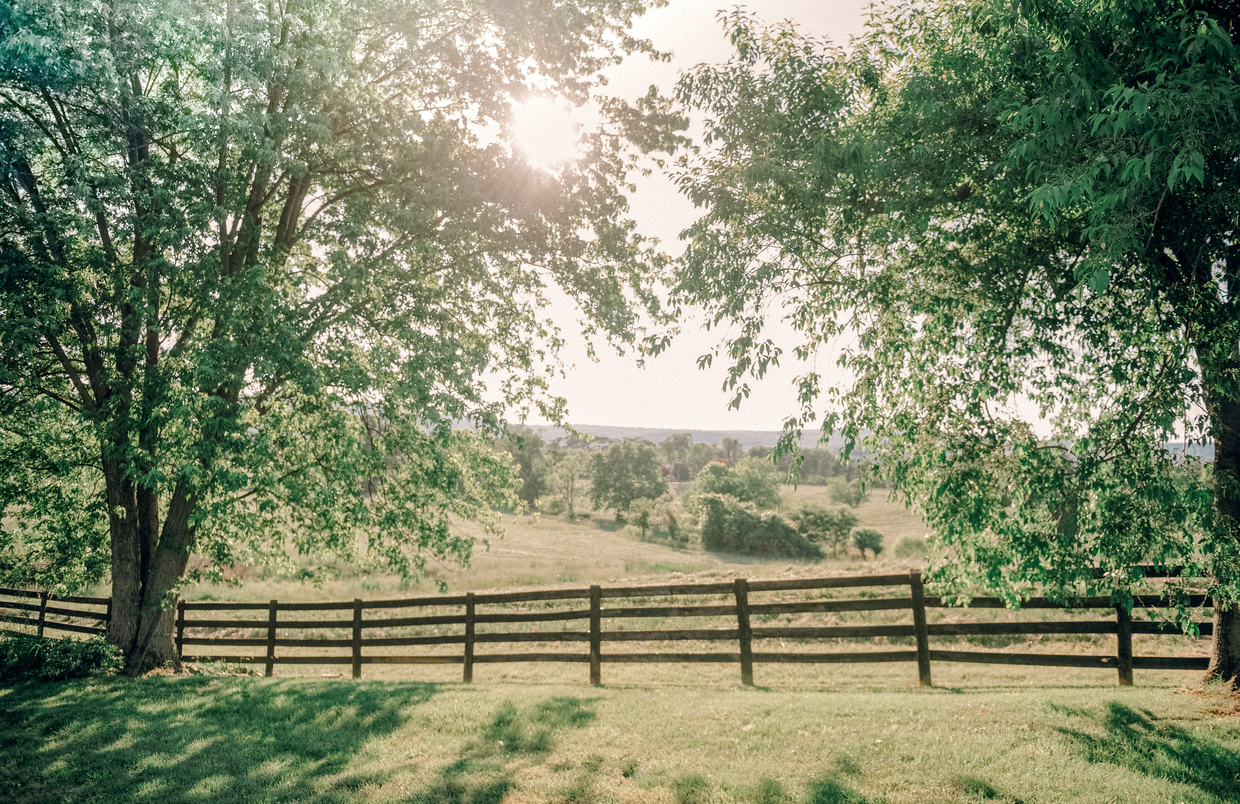 Silverbrook-Farm-Weddings-Virginia-40.jpg