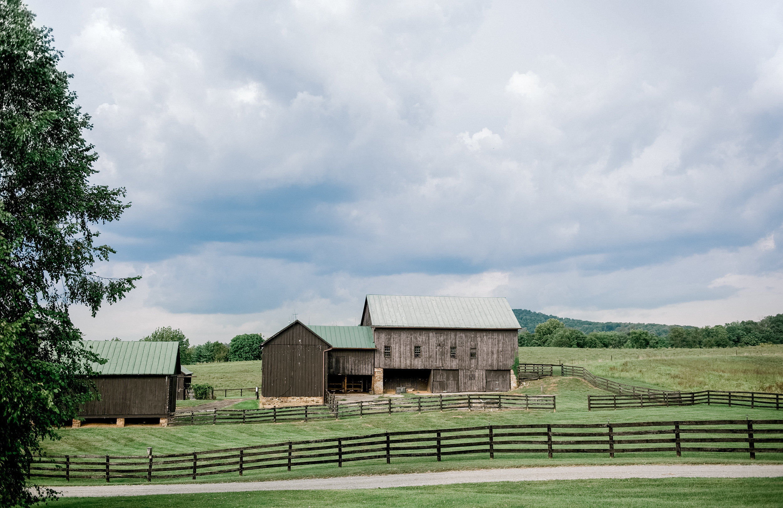 Silverbrook-Farm-Weddings-Virginia-32.jpg