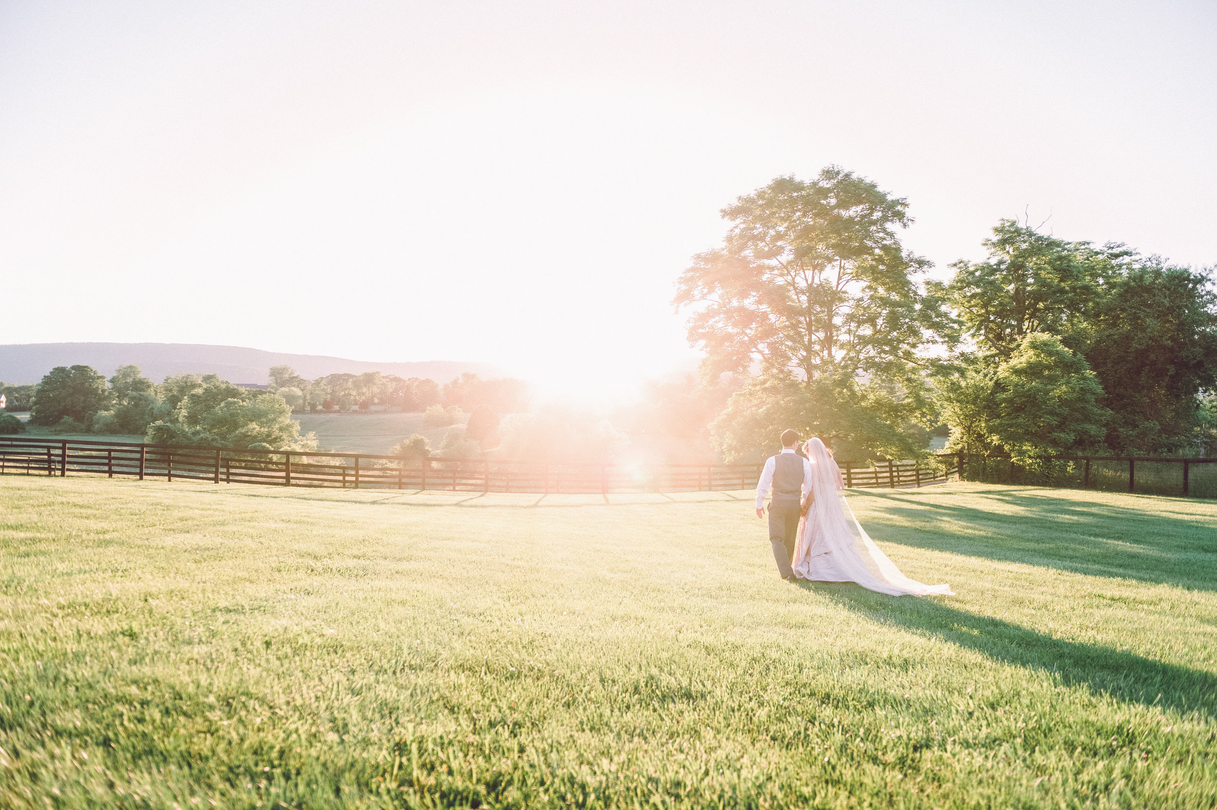 Steffi & Greg | Photography Du Jour