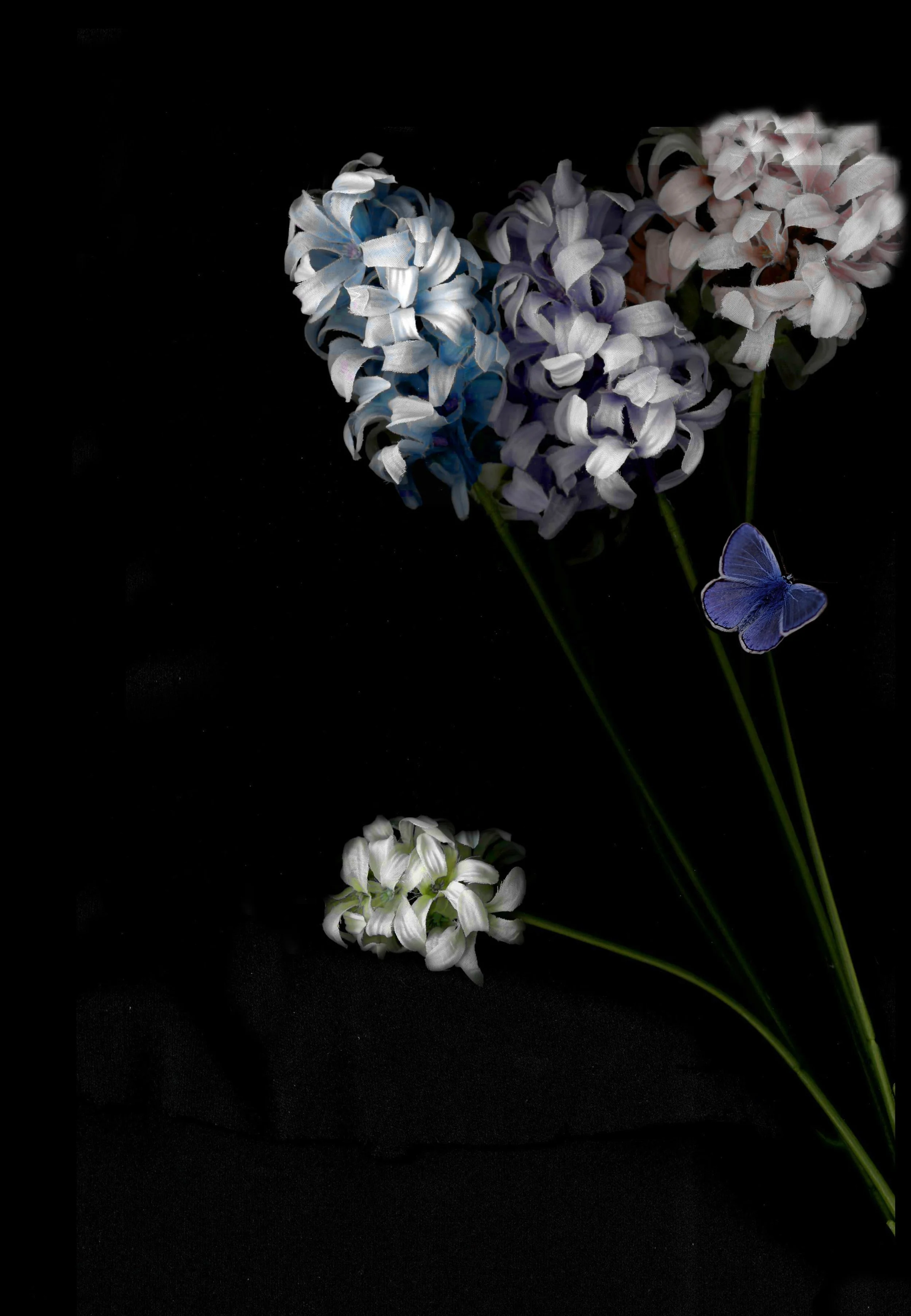 Flower2.jpg