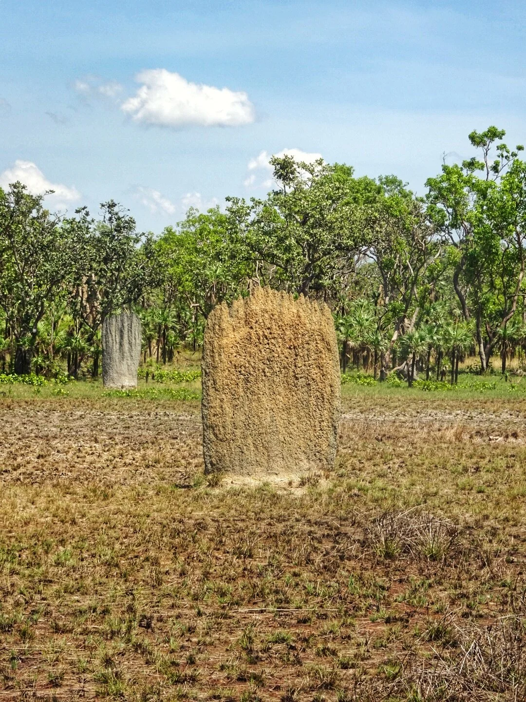 What is as big as a foot-long Subway and always faces North?