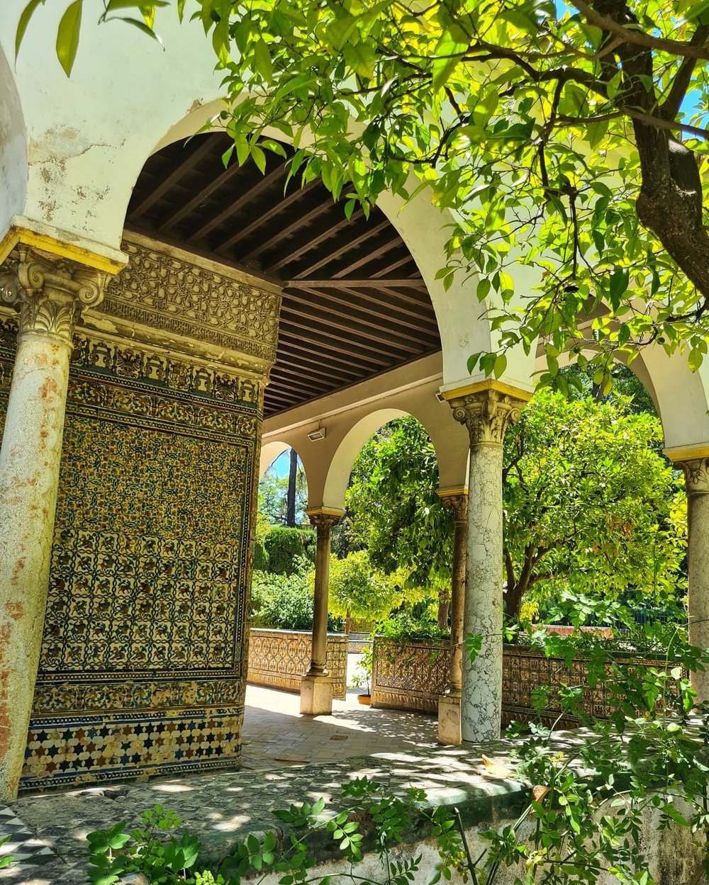 Seville alcazar garden 3.jpg