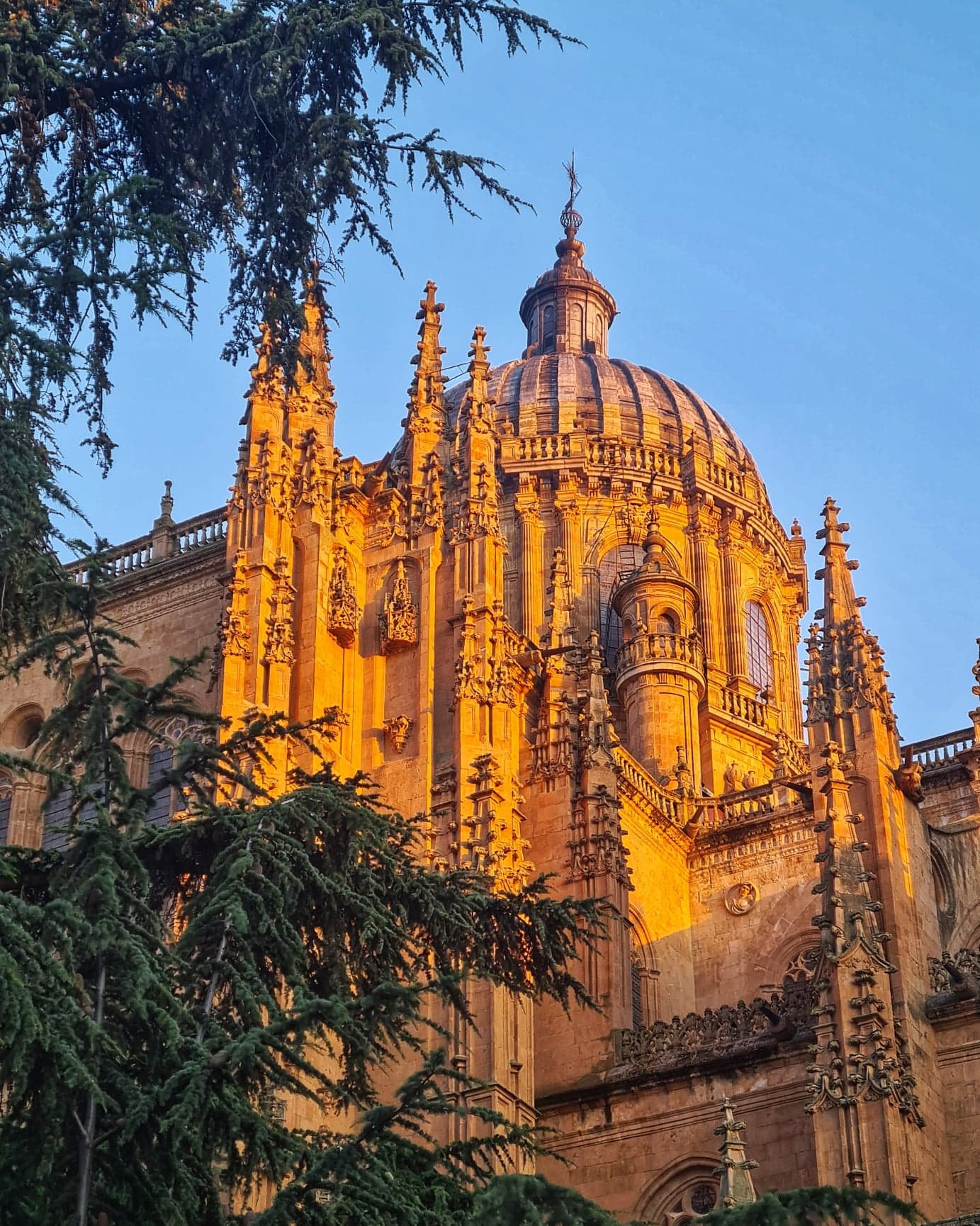 Salamanca cathedral 2.jpg